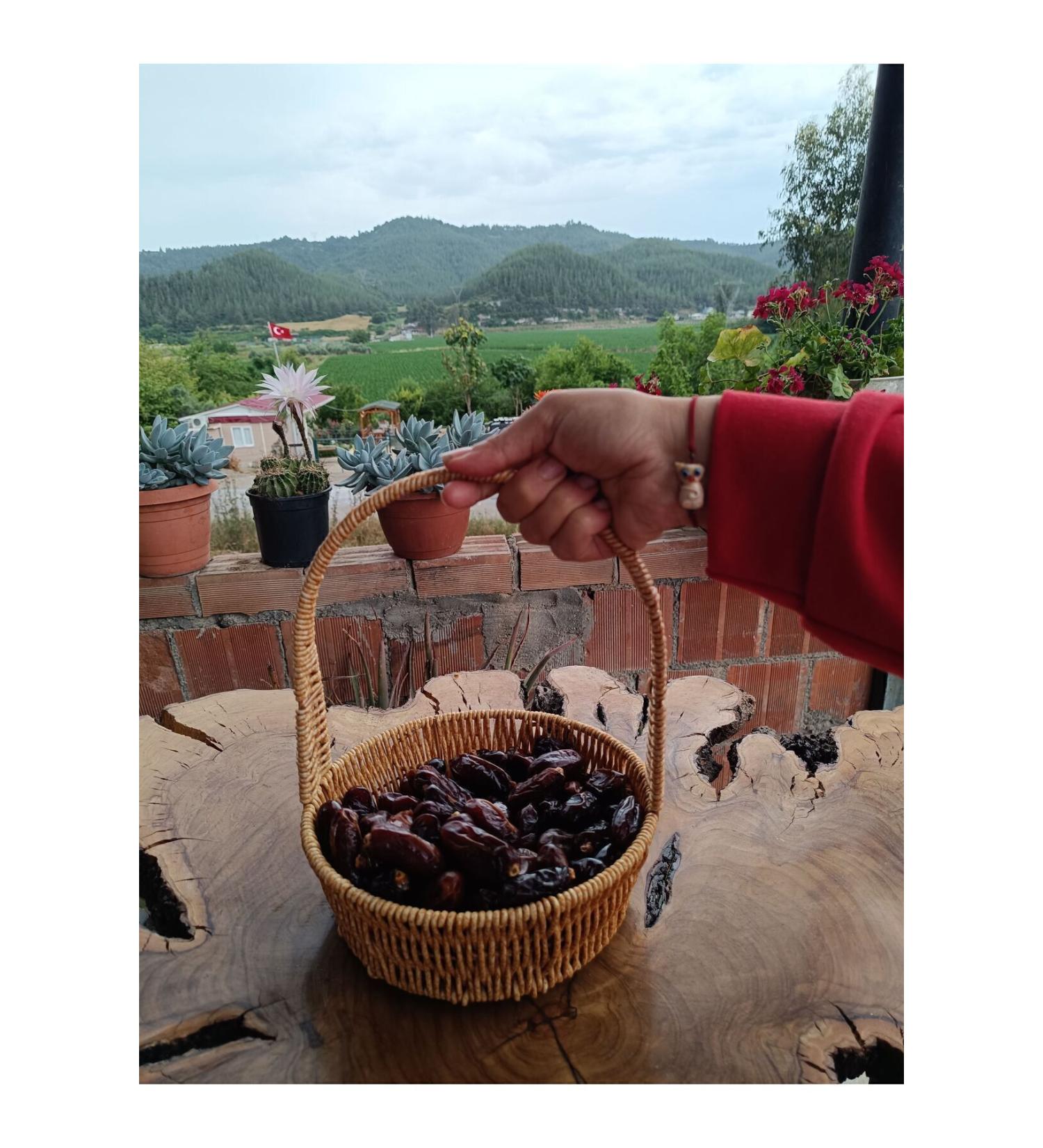 Madina Dates from the lady's hand 1000gr - Buy Online on GoSupps.com