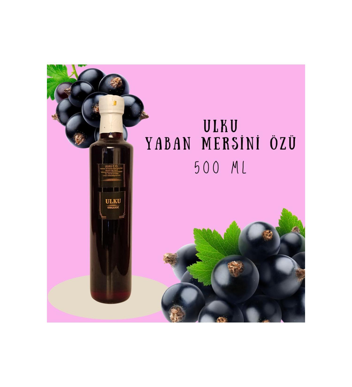 ULKUFOOD Specially Made Blueberry Extract - 500 ml