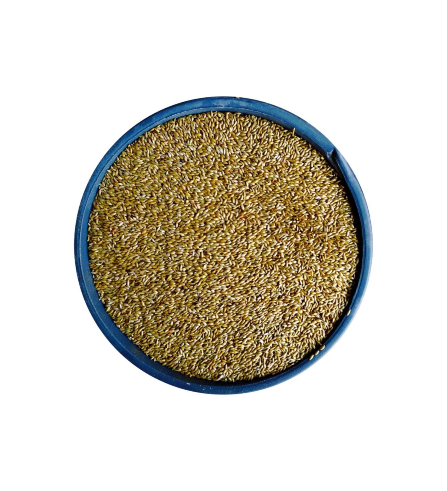 Bizim Yem Aspur Plain Canary Food - 5 Kg
