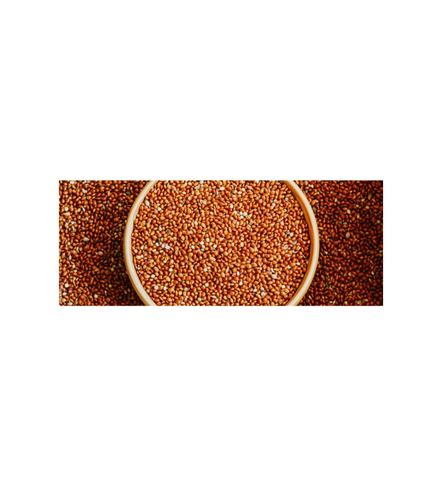 grpet Red Branch Millet Grains For New Puppies 1 Kg