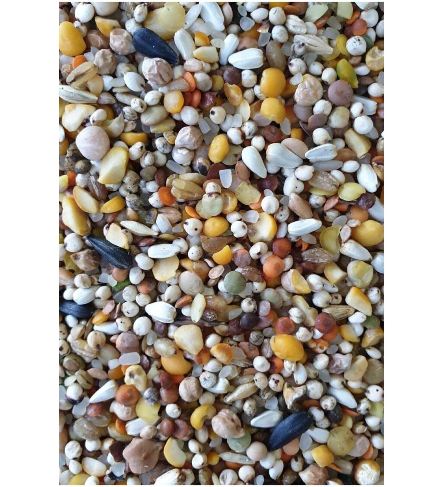 Special Mixed Pigeon Food 10kg