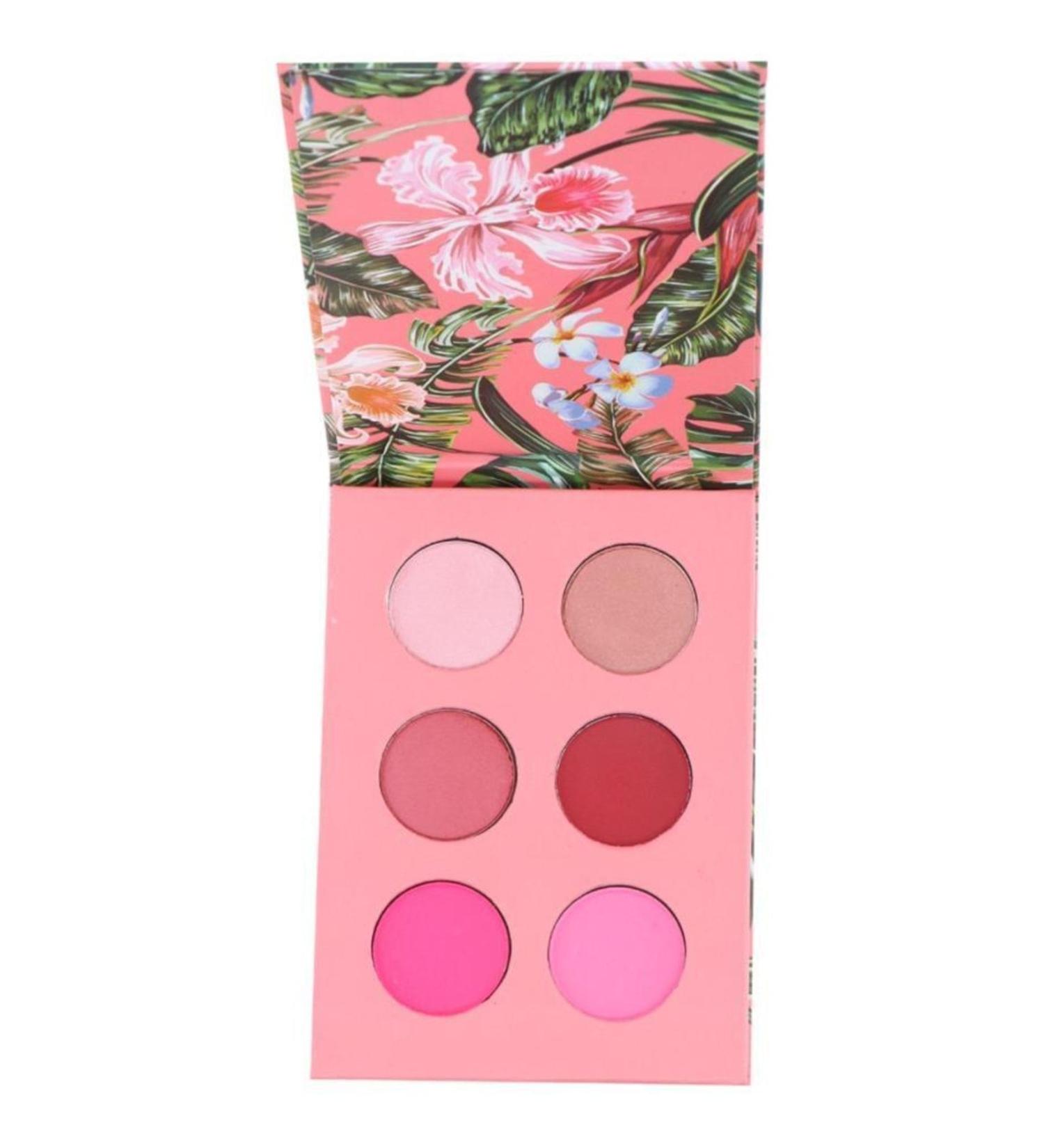 Brooklyn Timeless Beauty Pink Eyeshadow Palette 6 Pack
