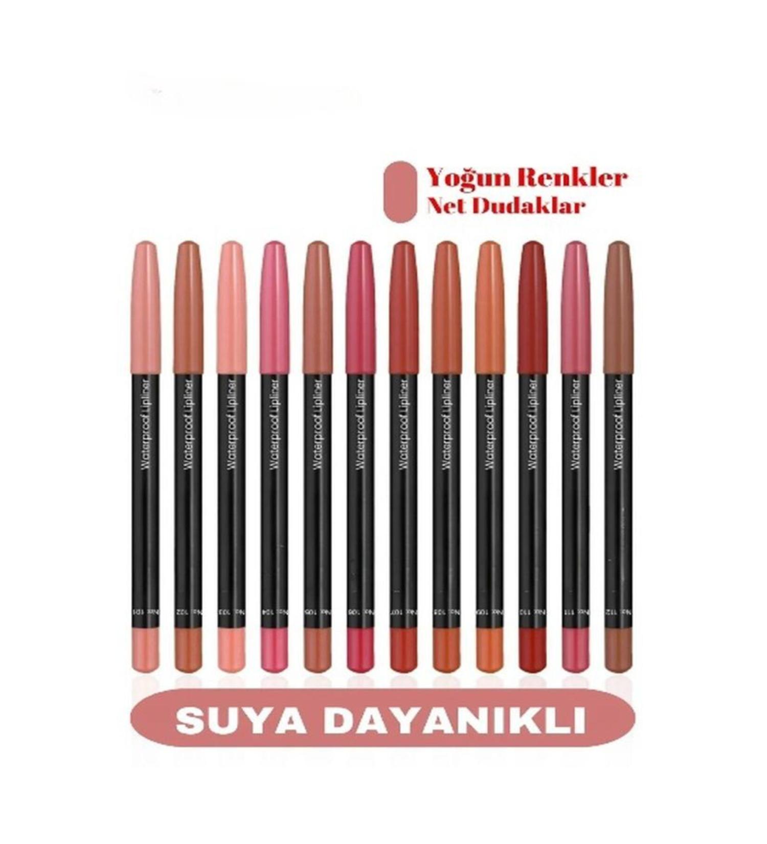 HaLVeY Lip Pencil Oily 12 Piece Set