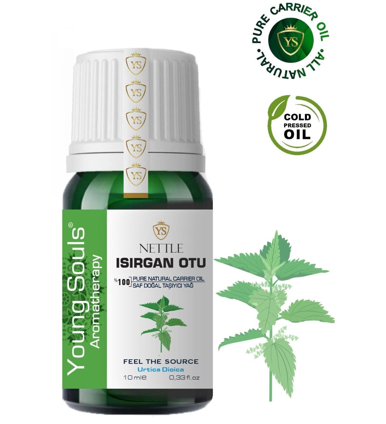 YOUNG SOULS Nettle Carrier Oil ( Cold Pressed ) 10 ml - Buy Online on GoSupps.com
