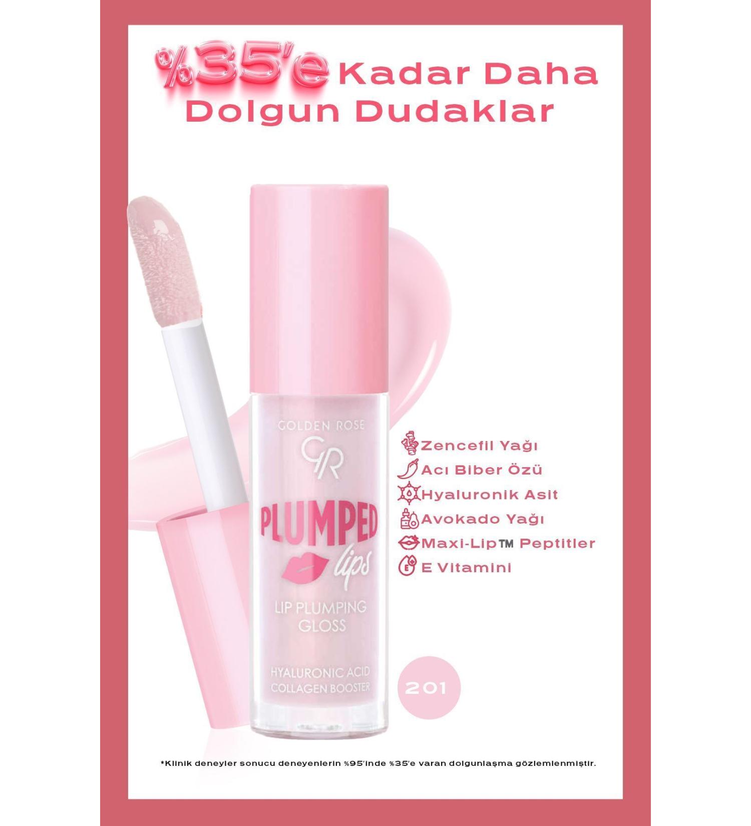 Golden Rose Plumped Lips Lip Plumping Gloss No: 201 - Plumping Lip Gloss - 8691190528478 - Buy Online on GoSupps.com