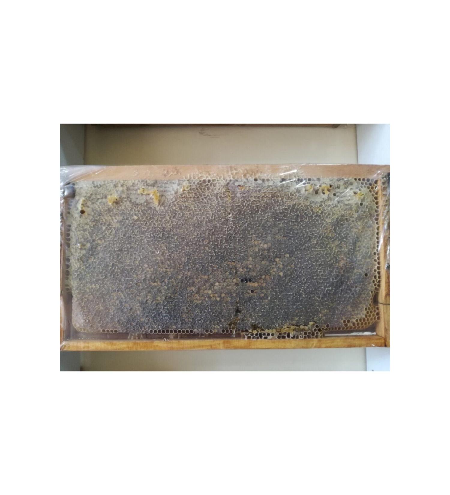 OZMU HONEY Thyme Honeycomb Lath Honey 3.7kg--4kg