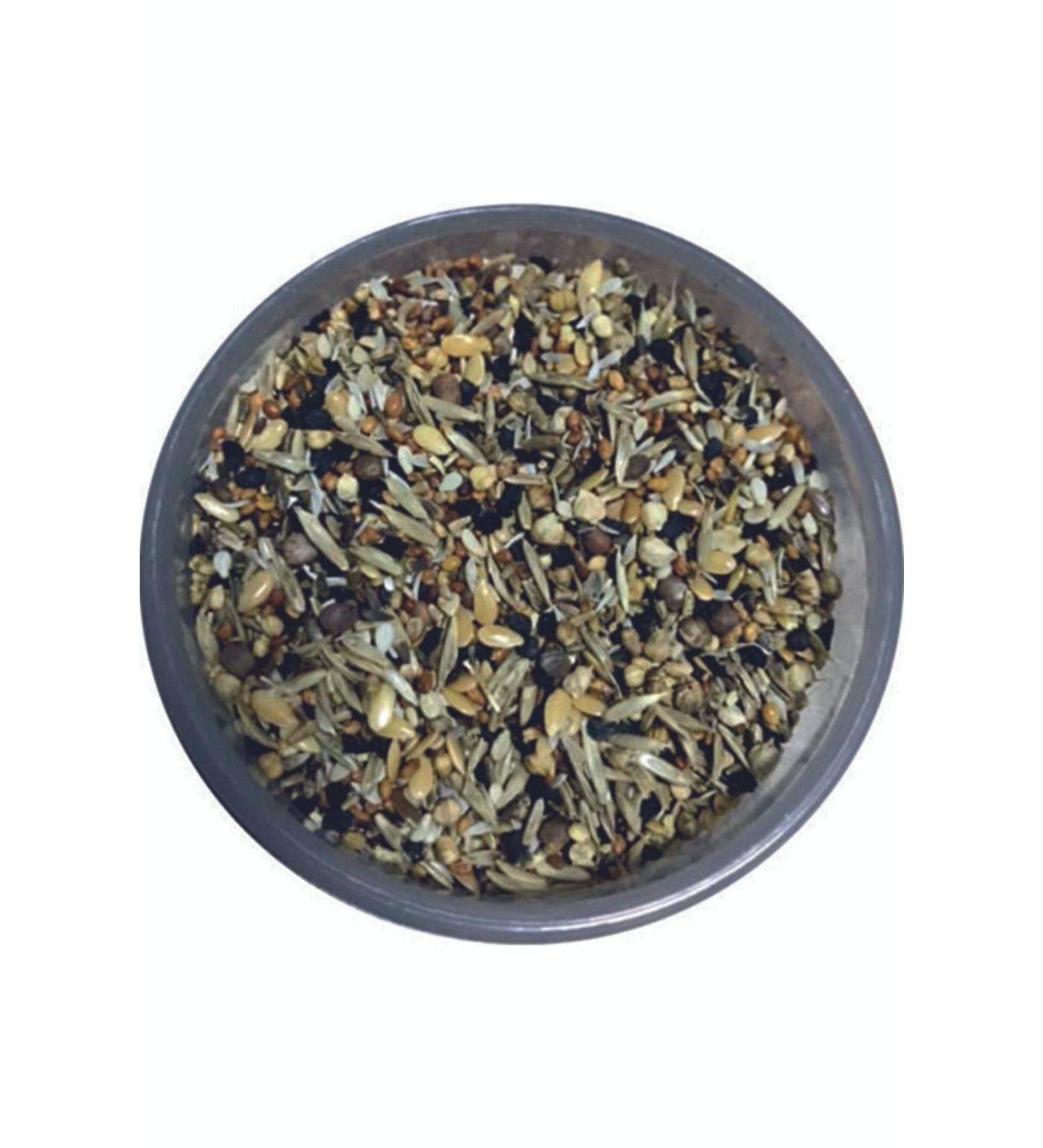 Versele Laga Wild Health Seed Mix 1 Kg