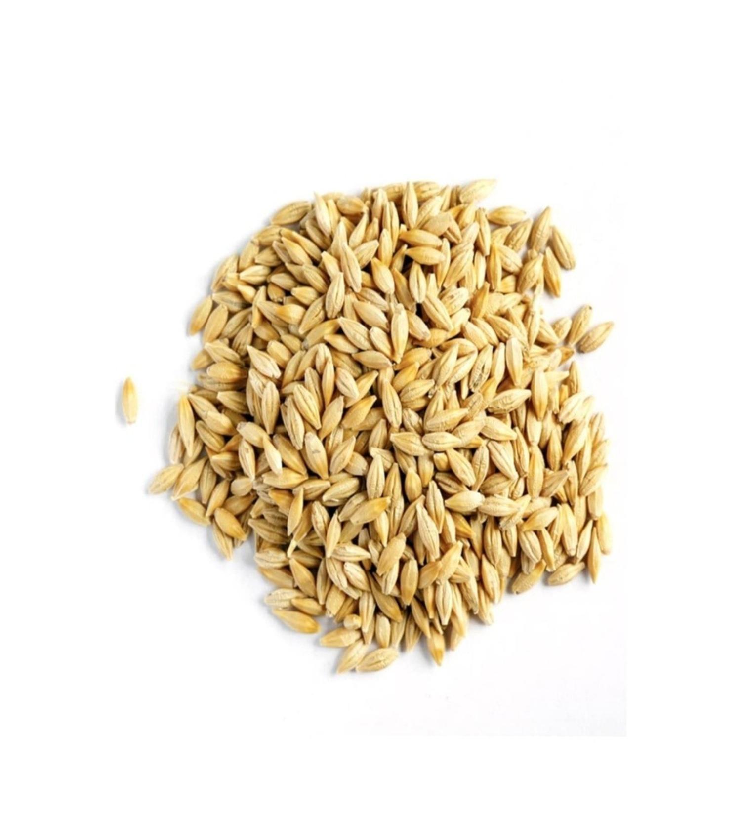 Neighborhood Grocer Natural Grain Barley Seed Feeder 8 kg