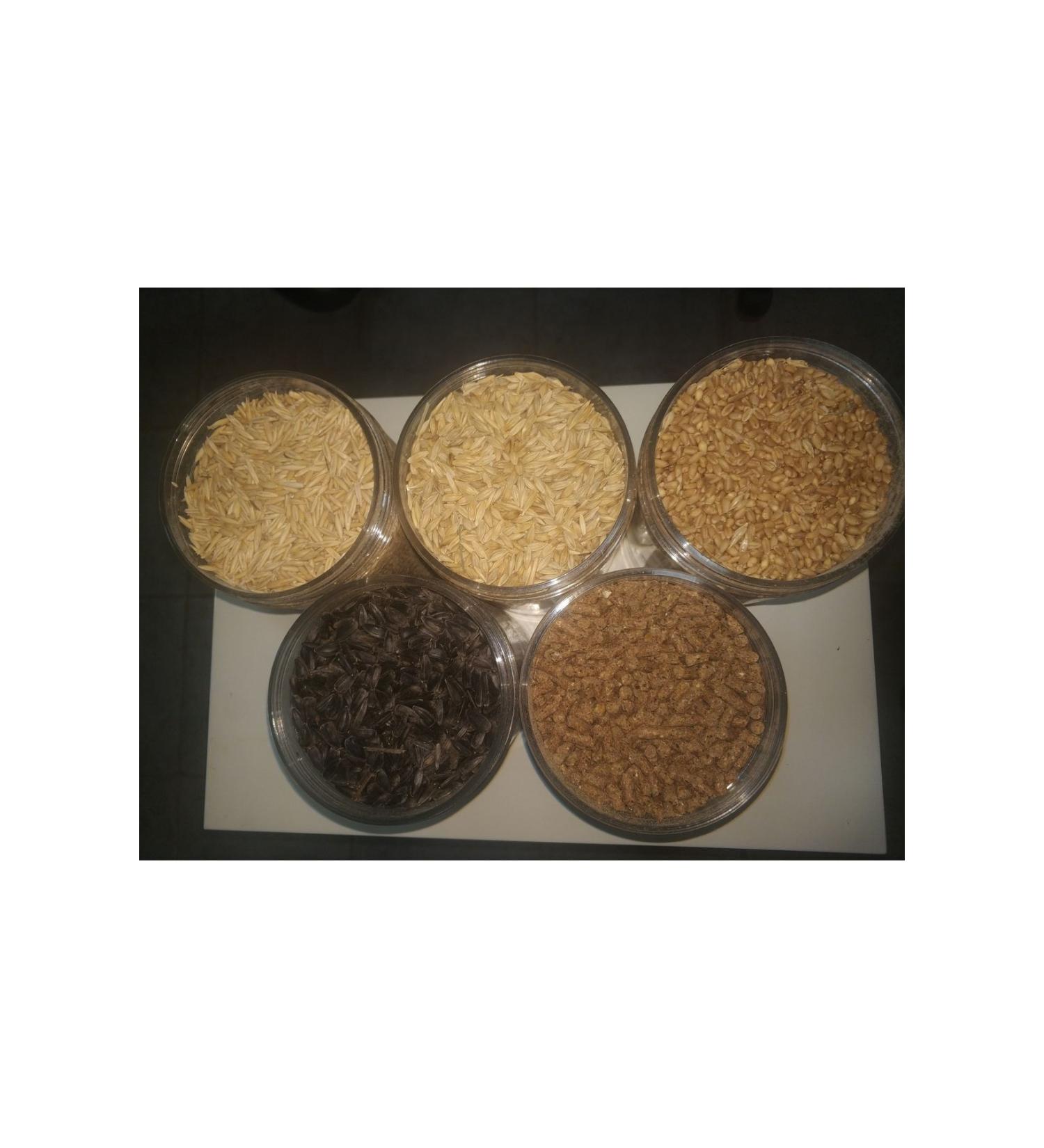 GoldMindMix RODENT FOOD SET OF FIVE 5x1Kg (Oat Barley Wheat Sunflower Seeds CP Pellet Food) In Separate Bags.