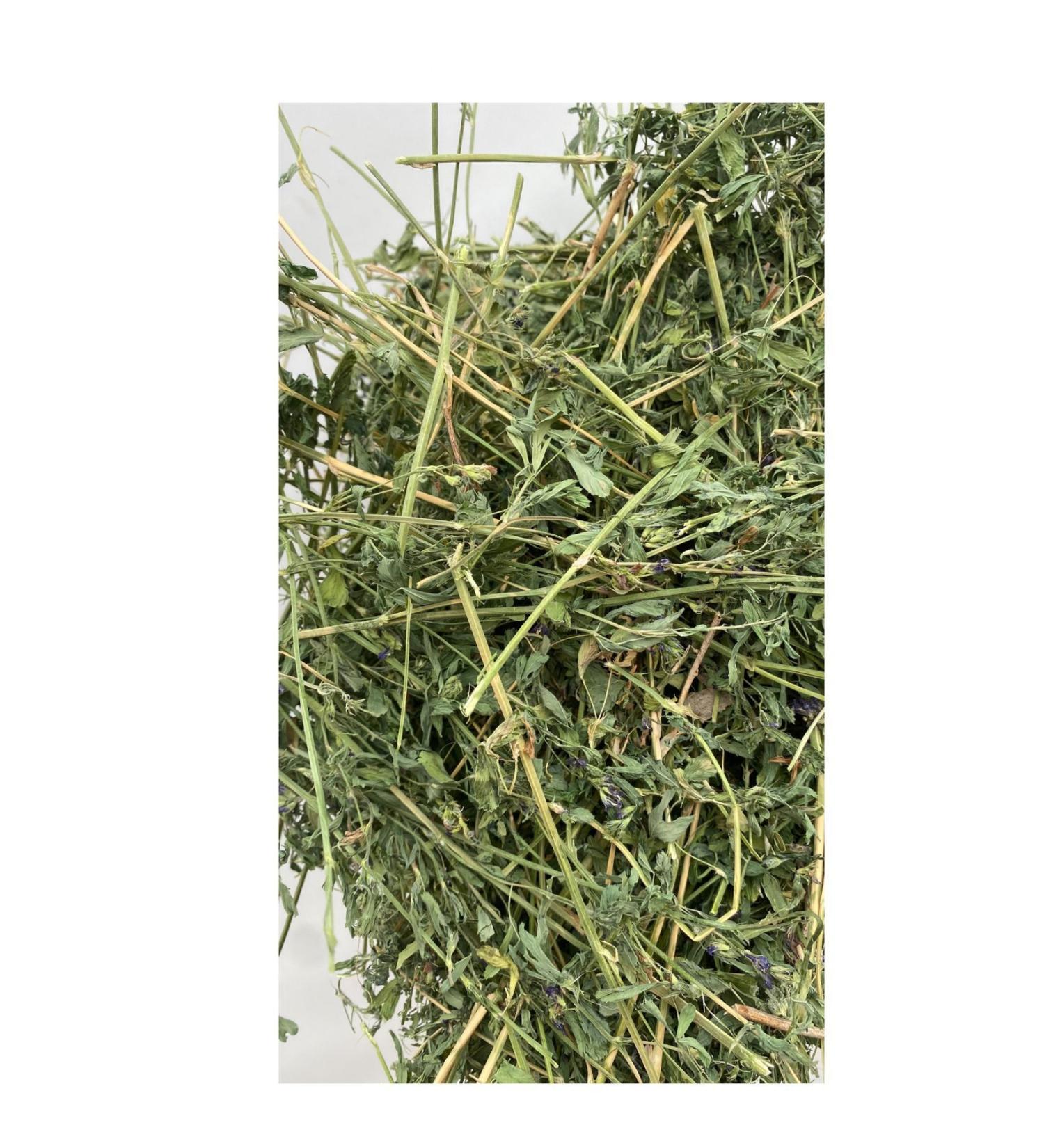 Dry Alfalfa Grass Rodent Grass 1 Kg