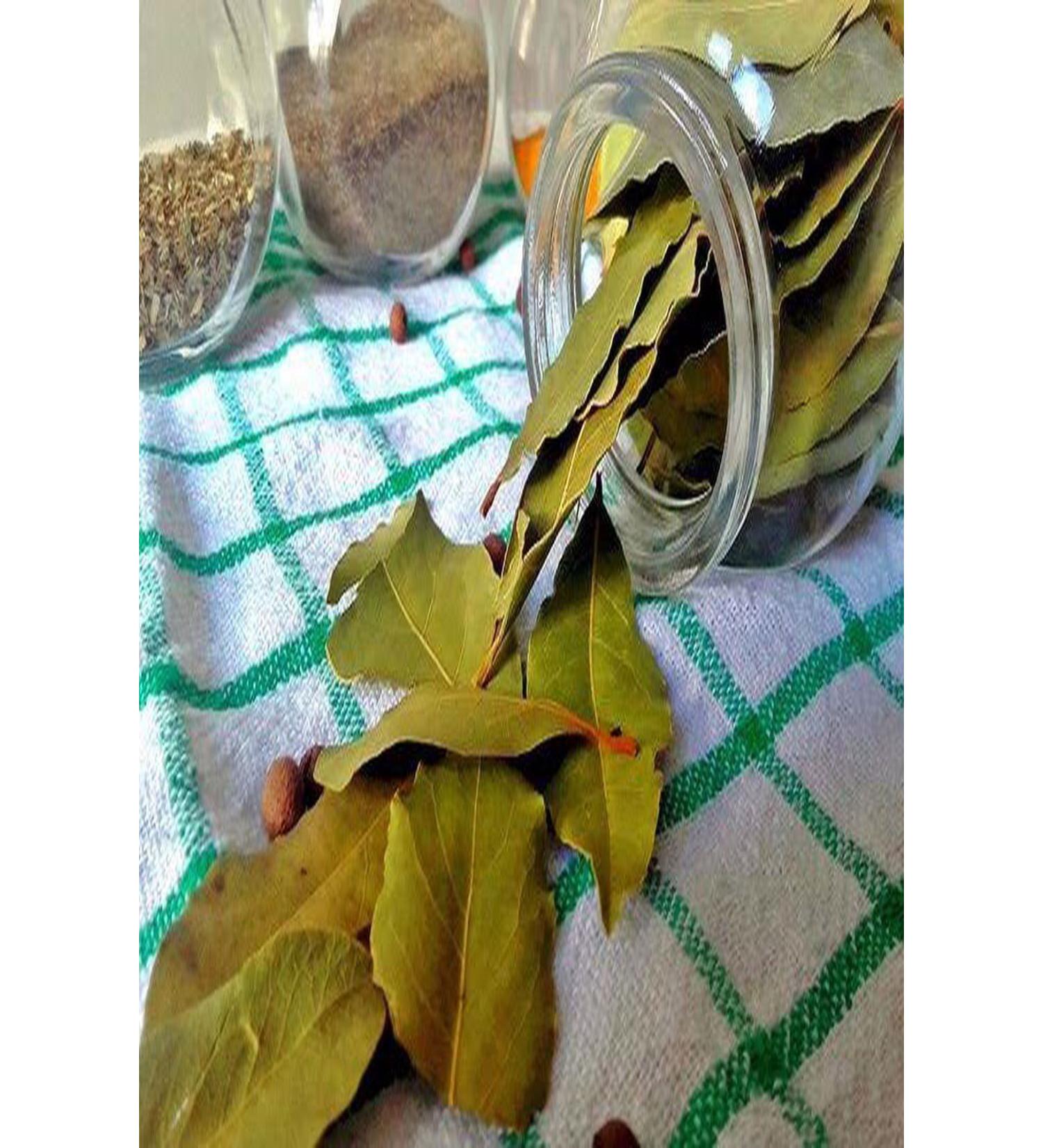 attarrifatcanhataylocal Daphne (Bayrna) leaf 500 r