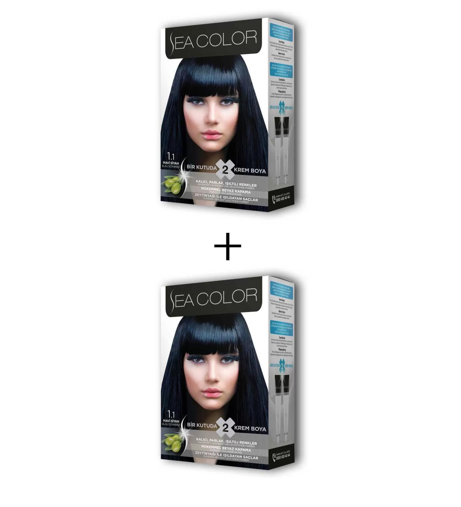 Skygo 2X2 Tube Cream Hair Dye Set Blue Black No:1.1