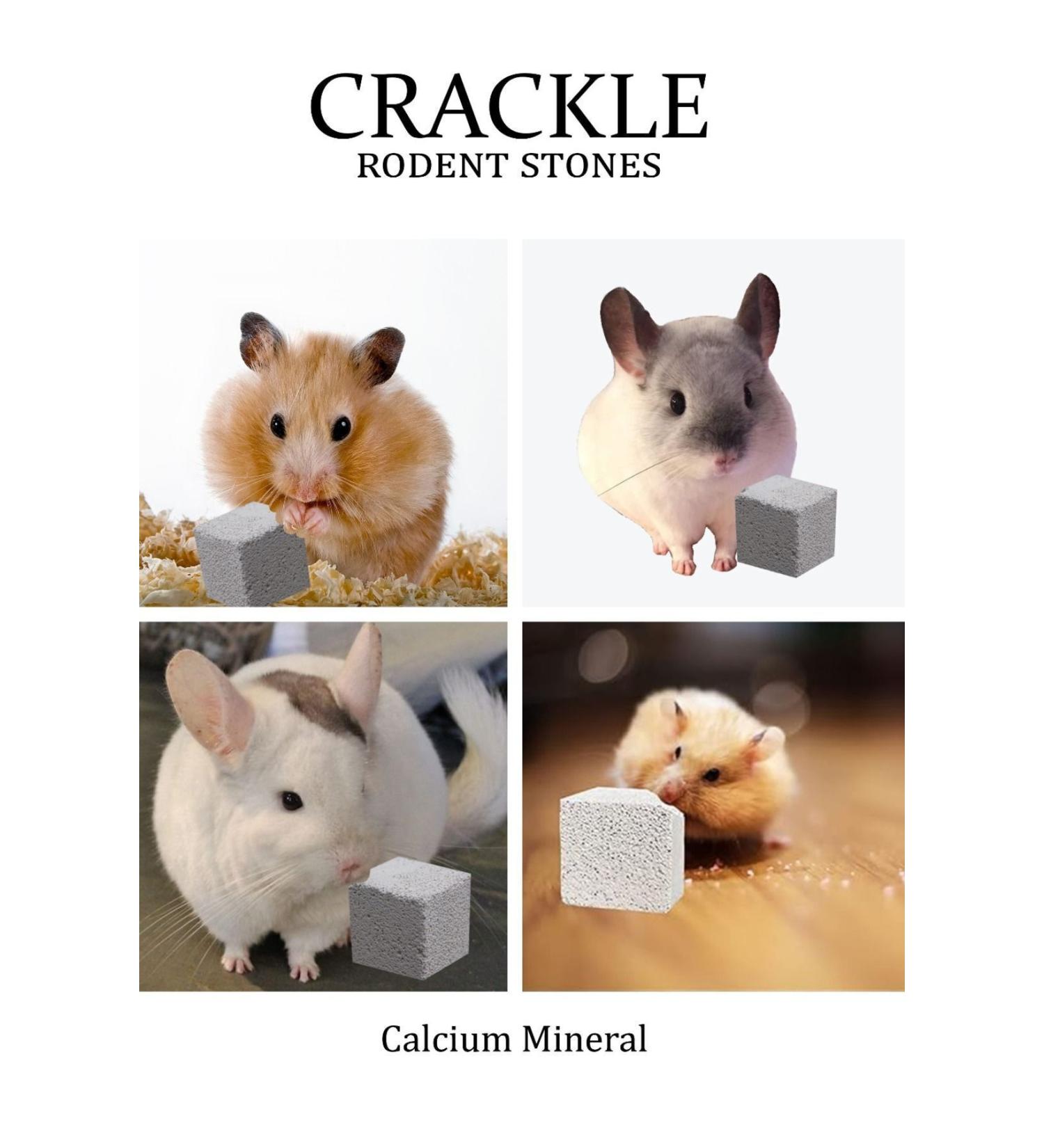 crackle Gnawing Stone (Pack of 12) Gnawing Stone Tooth File Calcium Mineral Licking Stone (12pcs)