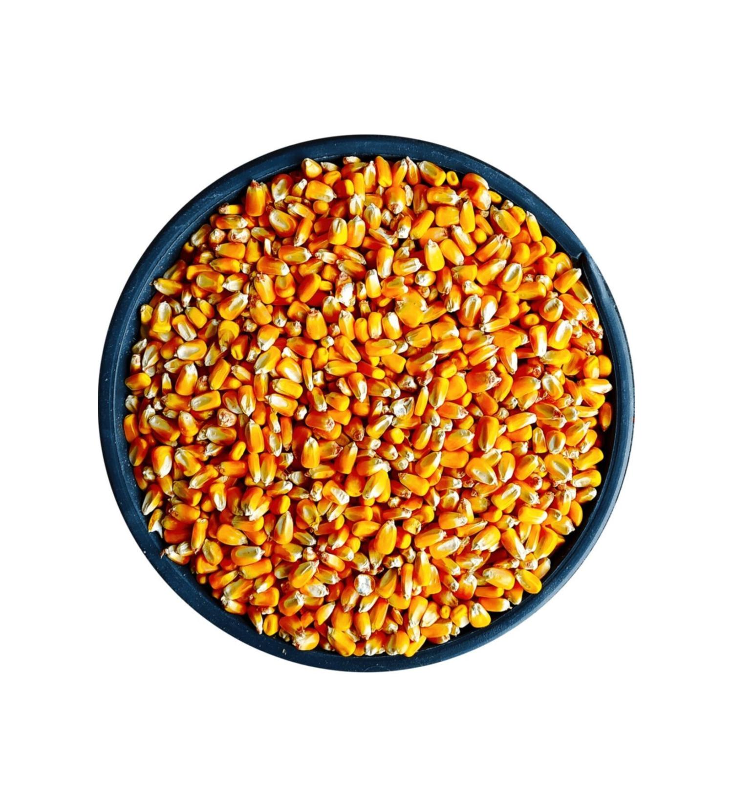 Our Feed Corn 5kg Chicken Feed Corn for Feed Poultry Feed Goose Duck Feed Bird Feed in Special Bag