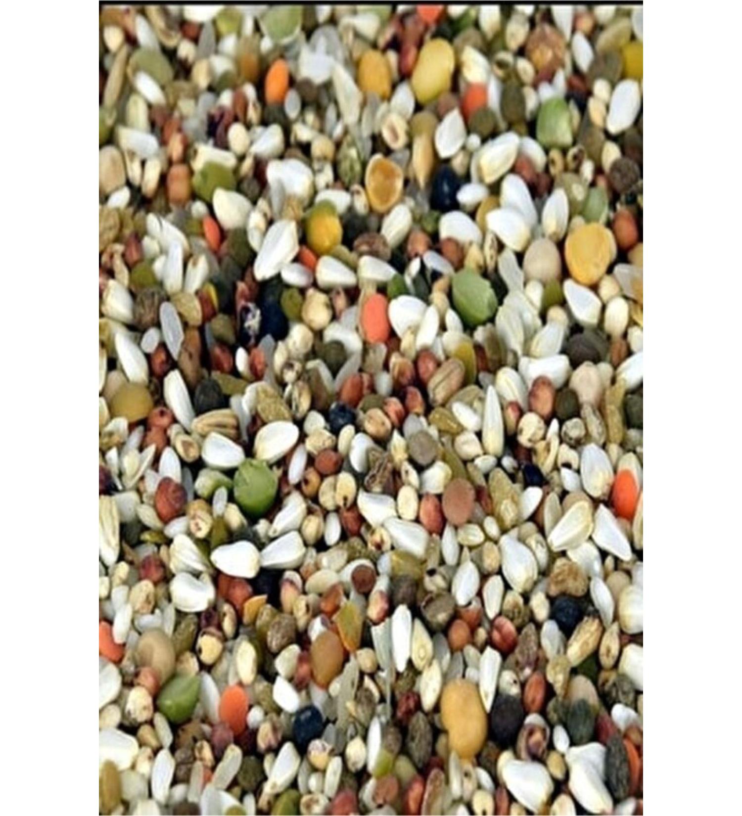zdemir Petshop Mixed Pigeon Food 5 kg