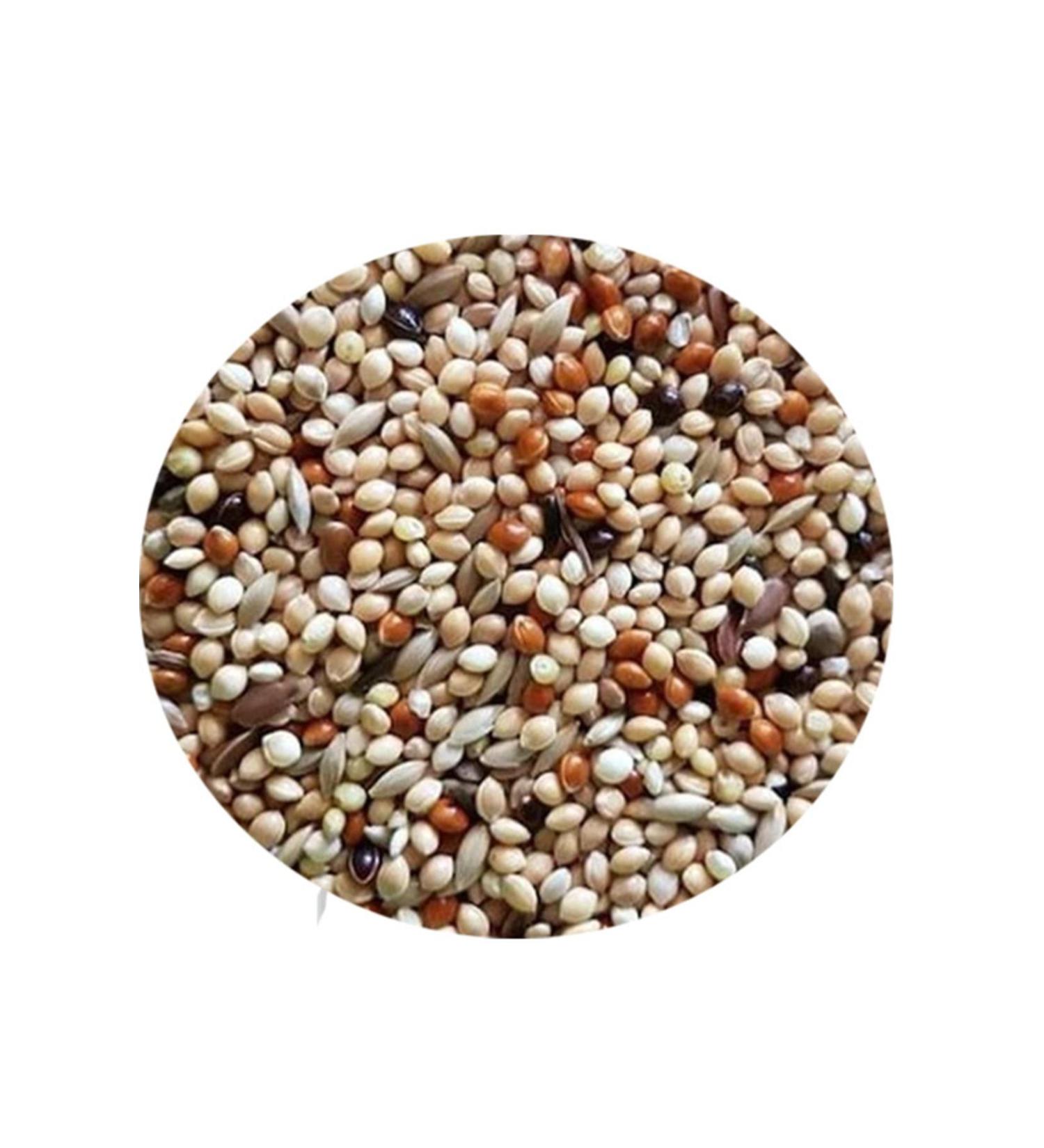 FLUFFY BIRD WORLD Budgie Luxury Food 3 Kg (SPECIAL VACUUM PACKAGING) (1 KG X 3 PACKS)