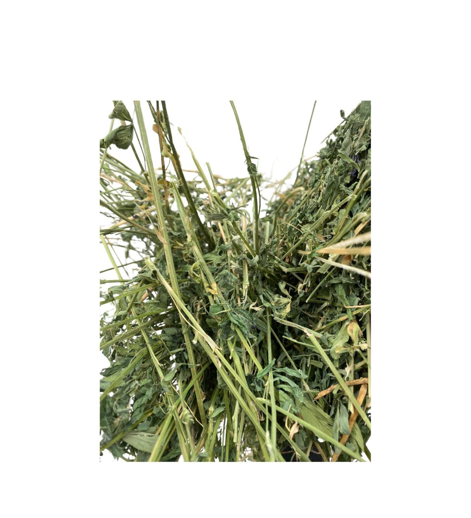 Dry Alfalfa Grass Rodent Grass 2 Kg