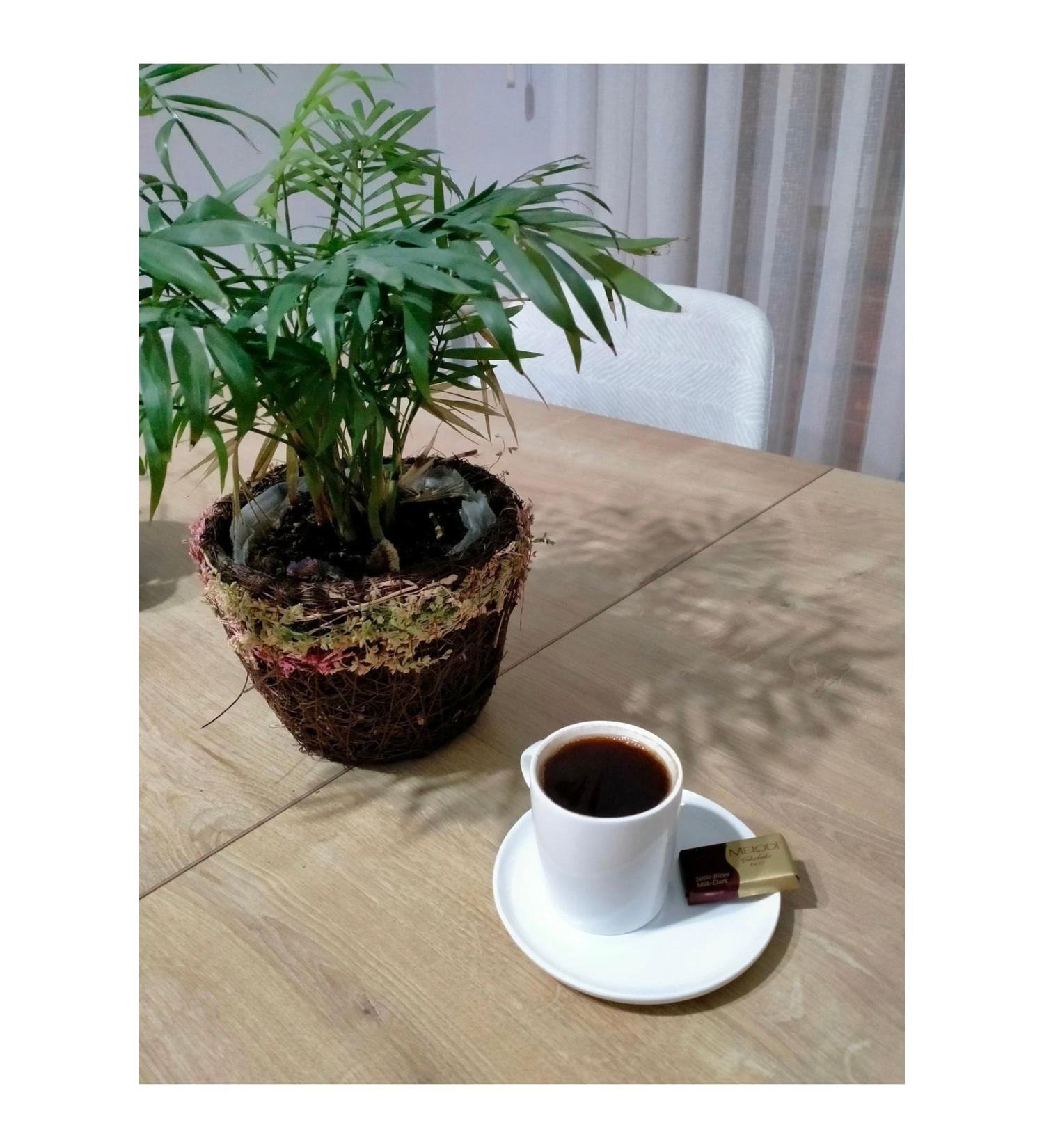 EK N NUTS AND COFFEE Ekin Antakya 500 gr Medium Roast Turkish Coffee - #hatay#turkishcoffee #double Roasted - Buy Online on GoSupps.com