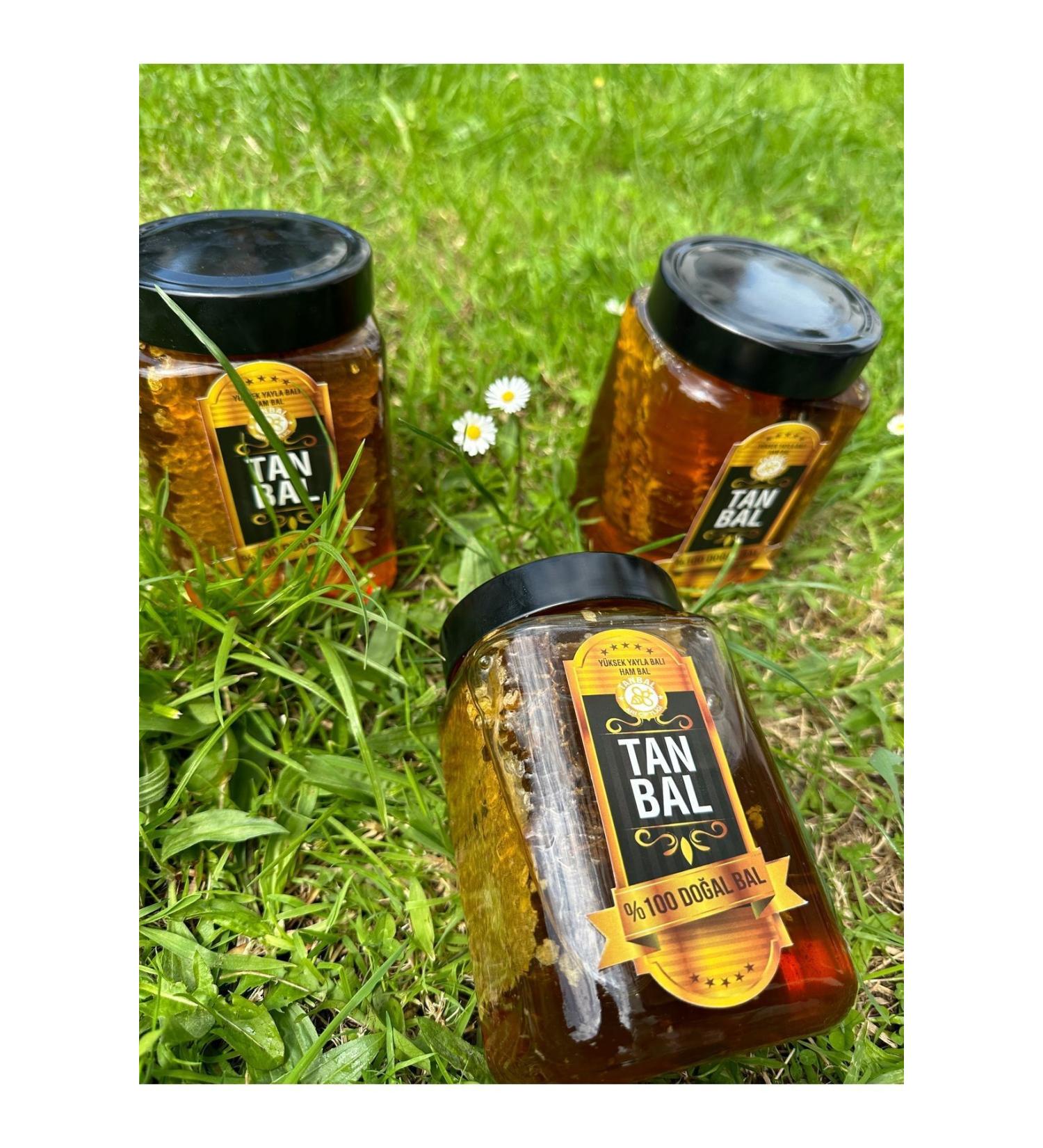 TANBAL Organic comb raw honey net 1kg - Buy Online on GoSupps.com