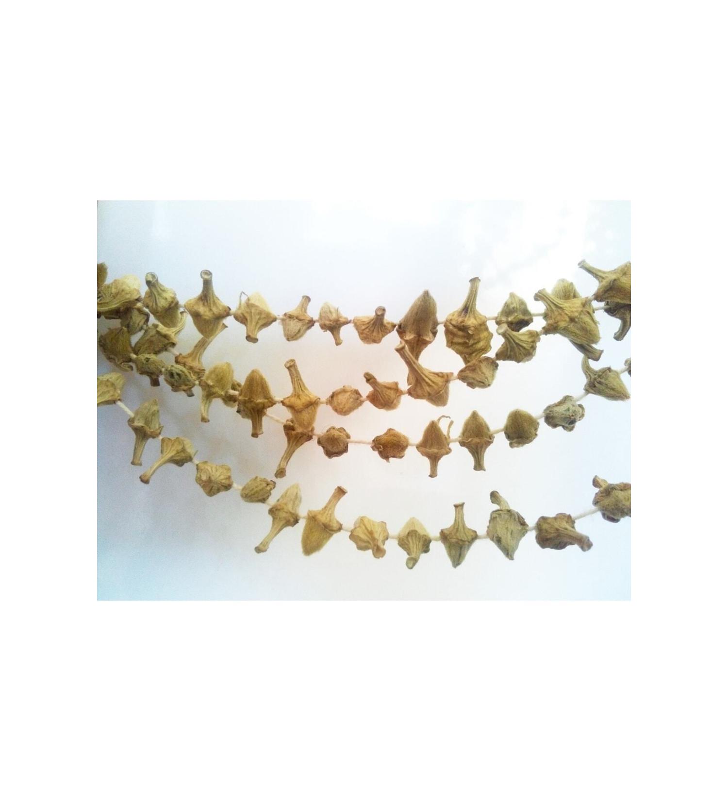 Karg Local Product Market Famous Karg Dried Flower Okra - (250 GR) Handmade Natural from Our Own Region