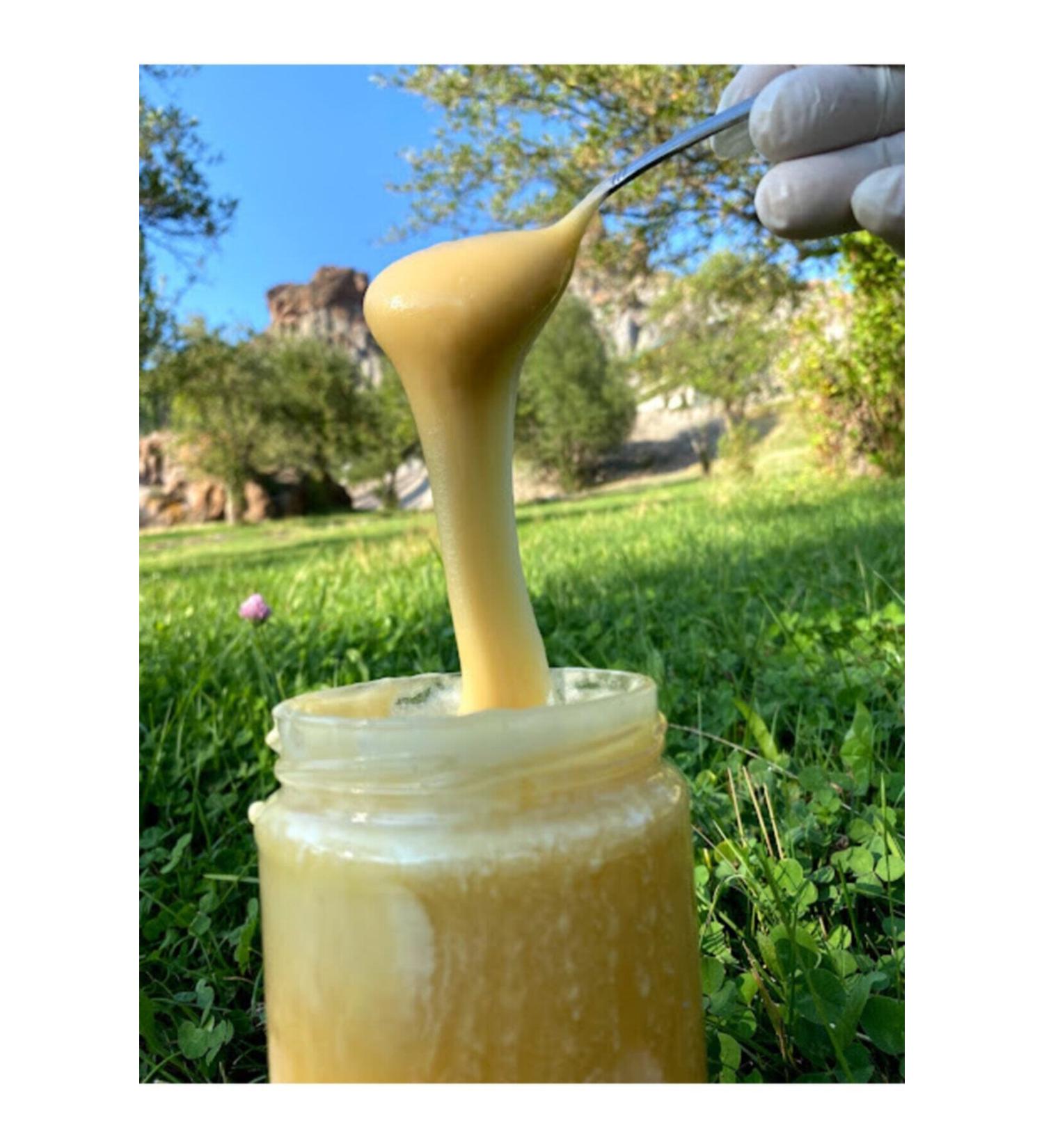 White Honey from the Village - 400 Grams - Buy Online on GoSupps.com