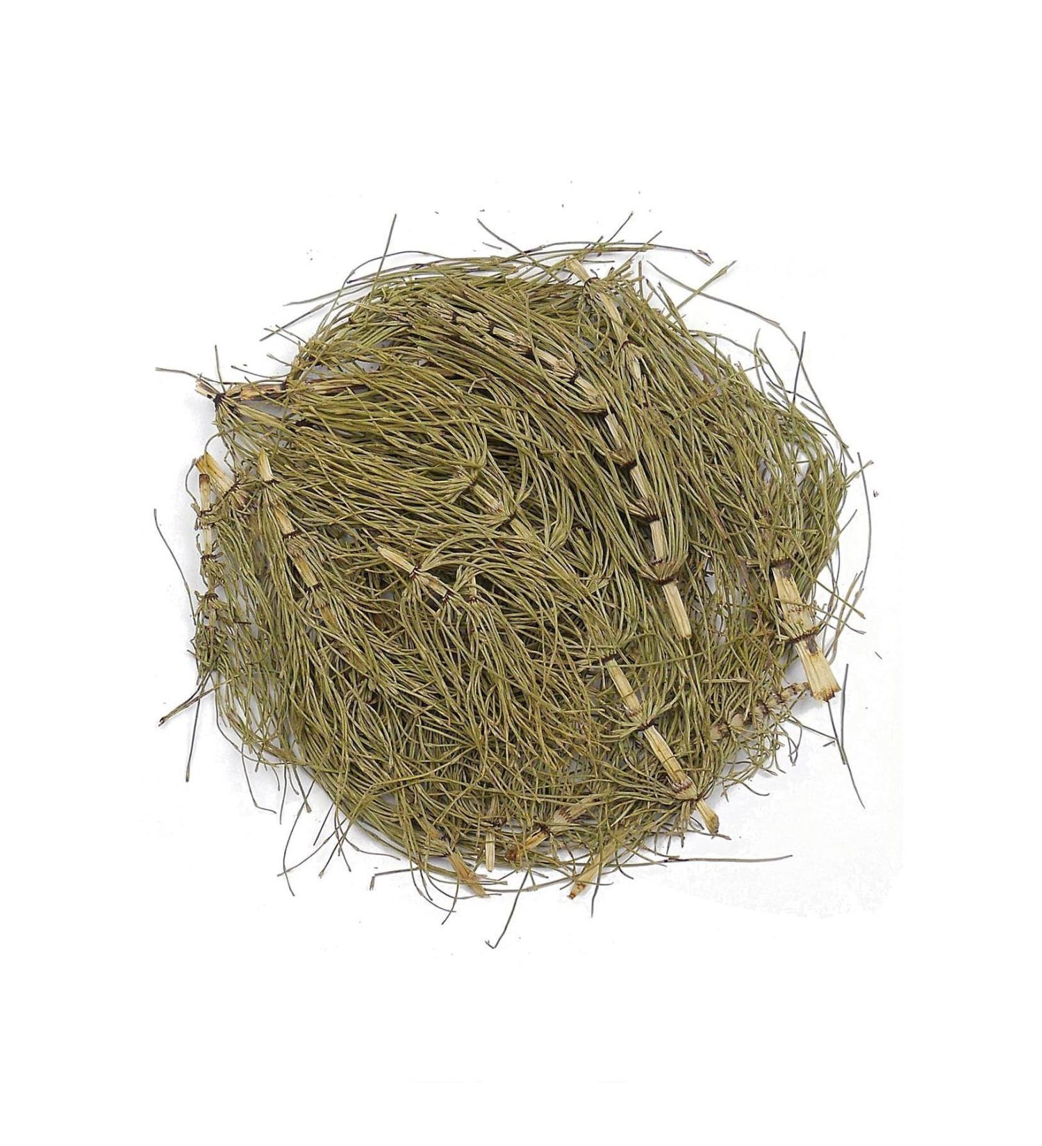 Herbal Healing Horsetail/Horsetail Herb in Tea 100g
