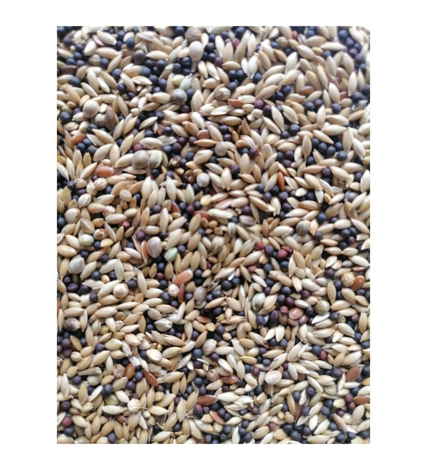Vivid Bird 724 Super Mixed Canary Food 10 kg