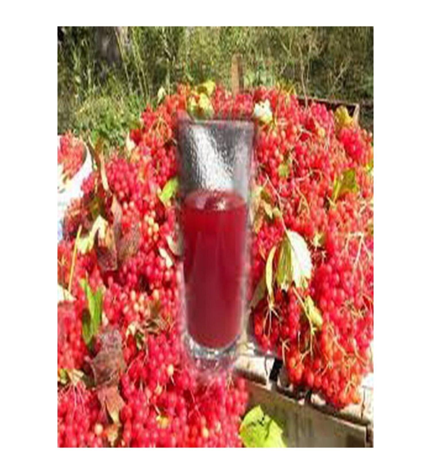 attarrifatcanhatayylocal Gilaburu Nectar 1000 ml