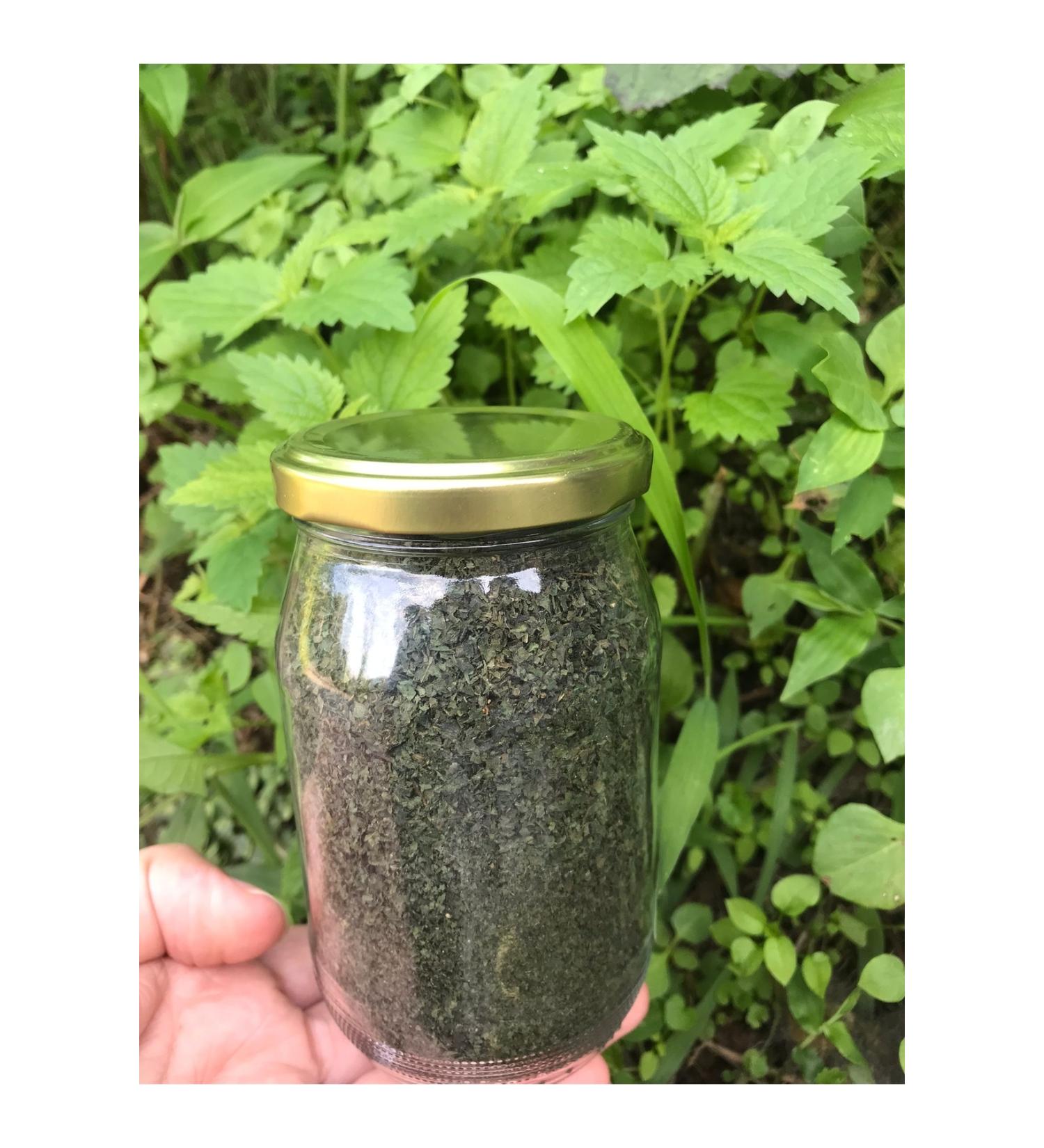 Black Sea Nettle Dried from Nature to Table (0.45 grams)