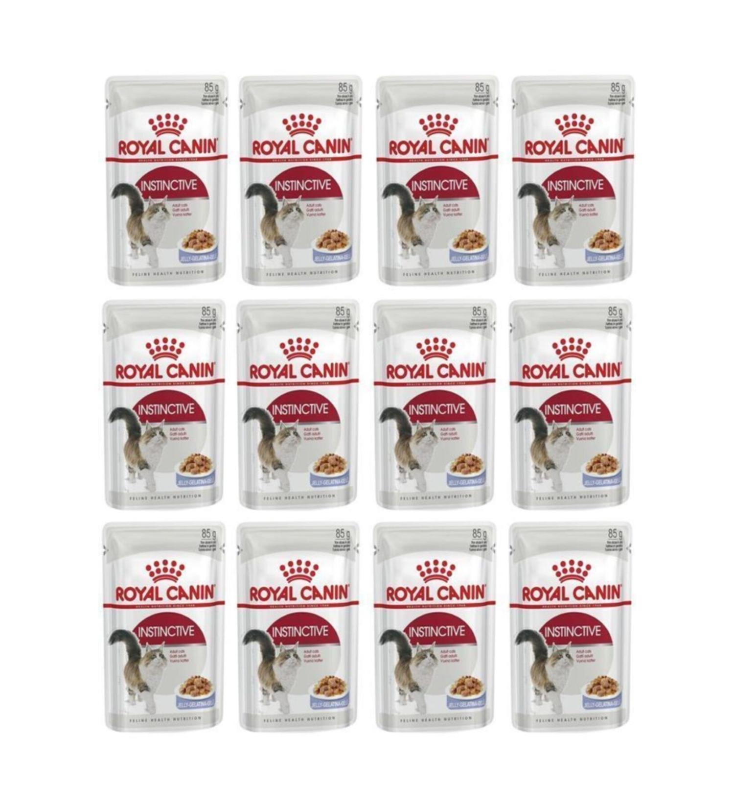 Royal Canin Jelly Instinctive Wet Cat Food 85 Gr 12 Pieces