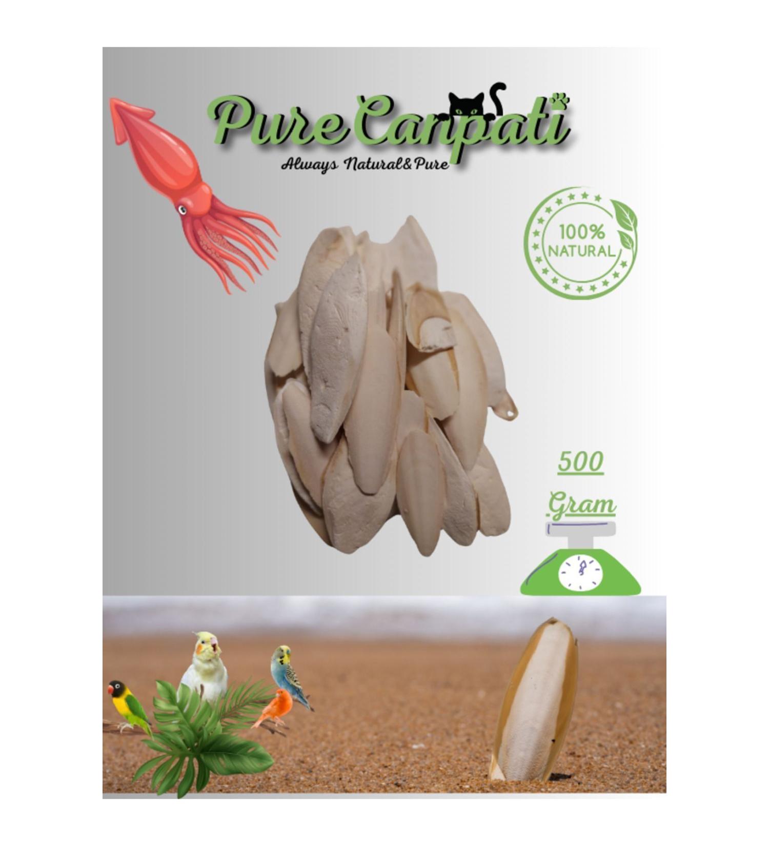 PureCanpati Squid Bone Cuttlefish Bone 500gr Broken and Small Squid Bone 500 Grams