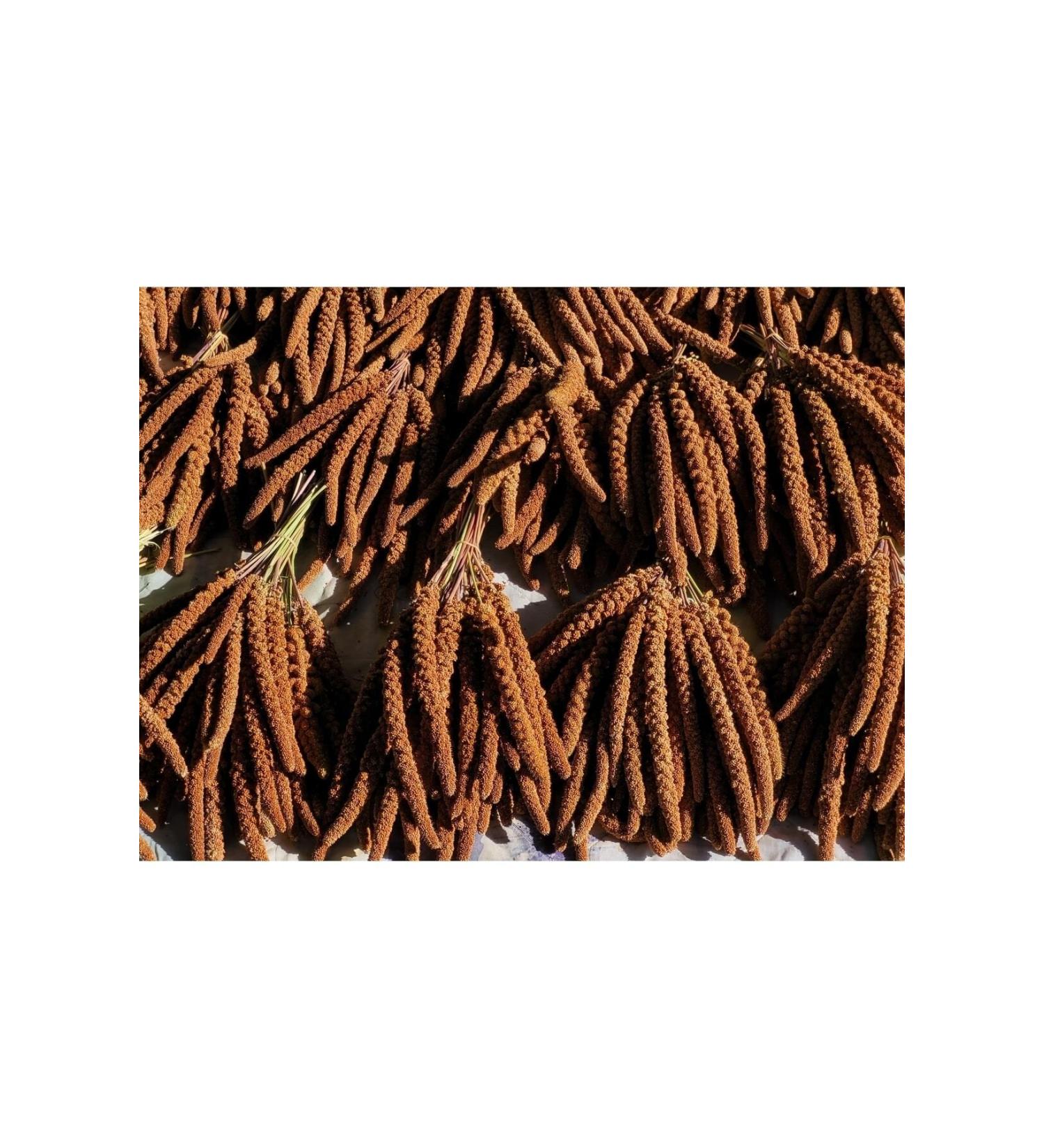  zdemir Petshop Red Branch Millet 500gr - Buy Online on GoSupps.com