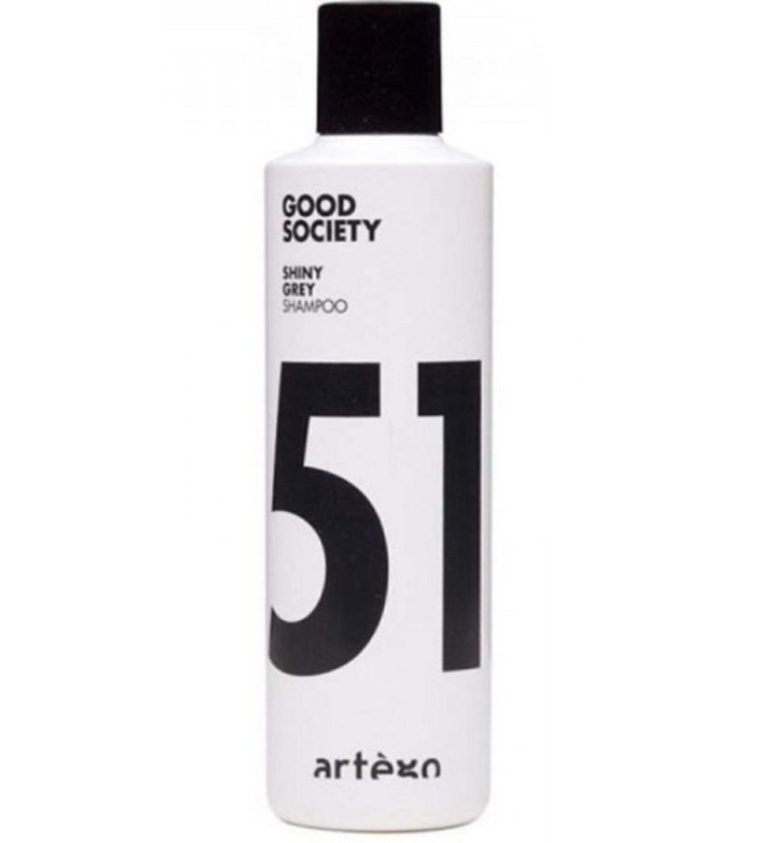 Artego Good Society 51 Shiny Gray Shampoo 250 ml