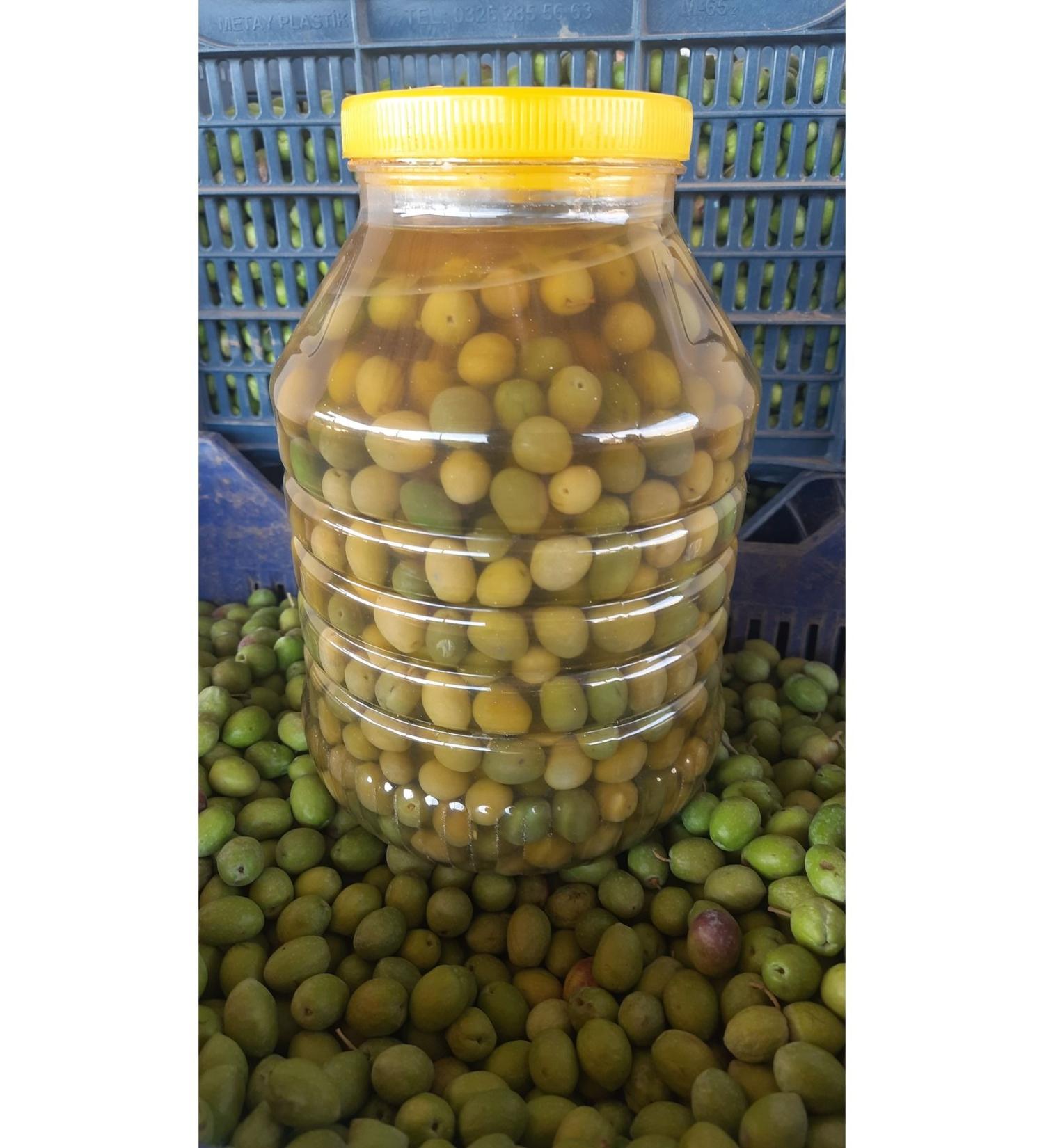 S ylemez Zeytincilik Gemlik Green Olives (Sweetened-Unbroken) 5 Pet