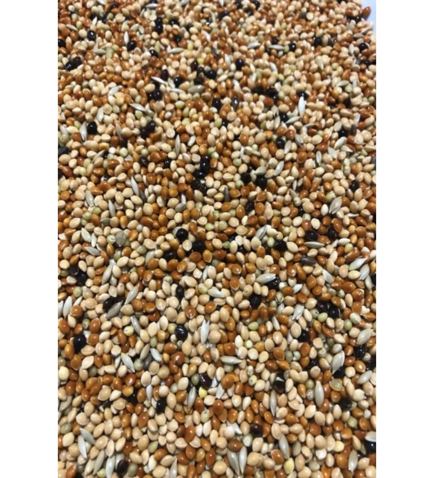 Skygo Budgie Food Mixed Vitamin 1 KG - Fruitless New Crop Pure Bird Food