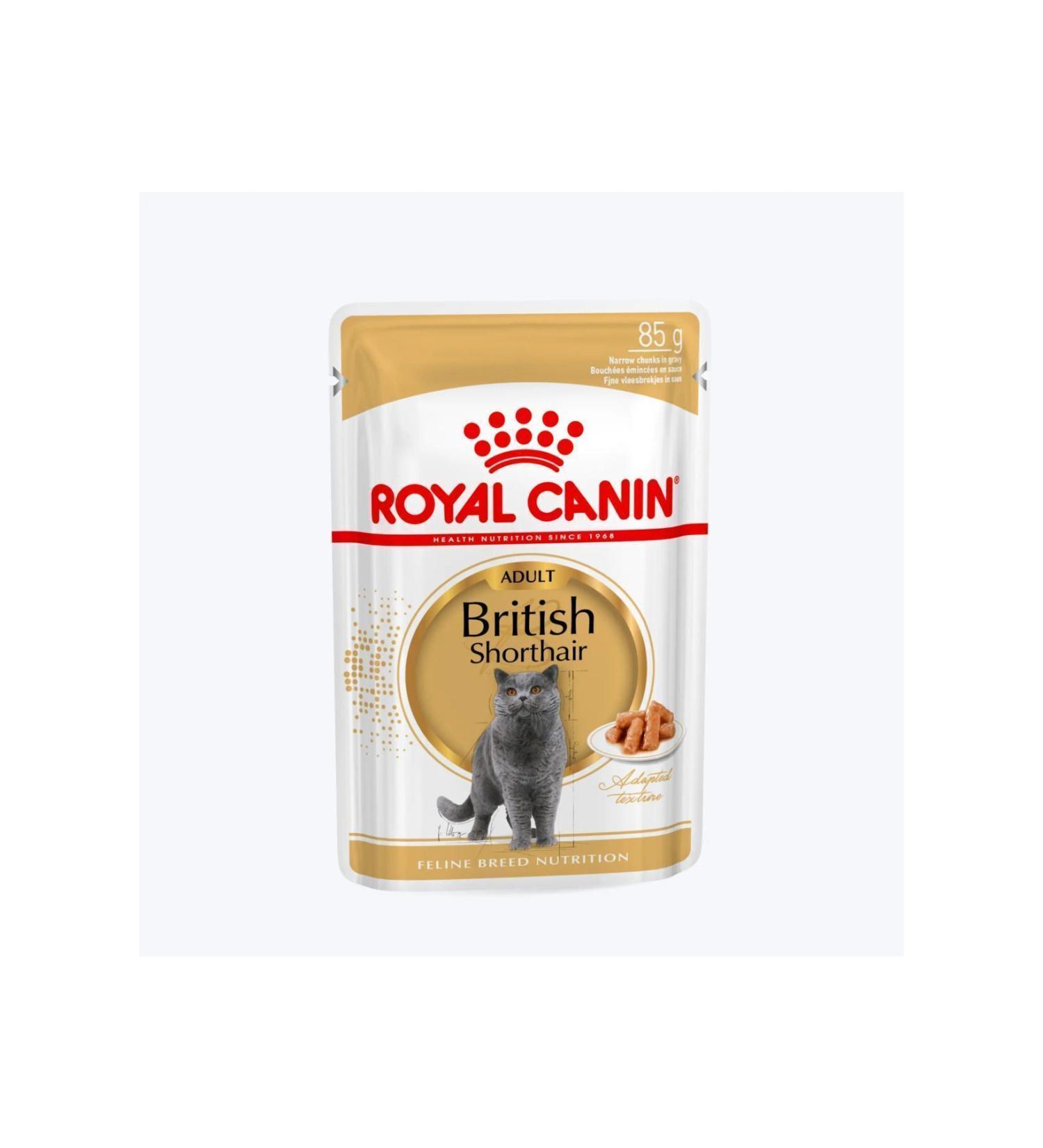 Royal Canin Special Adult Cat Food for British Shorthair 85 gr * 12 Pieces
