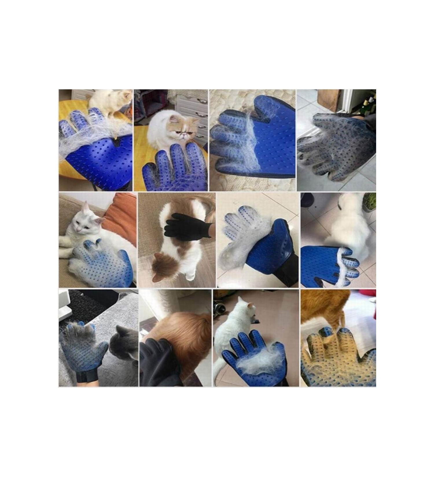 VB QUALITY Pet Cat Dog Hair Collection Glove Blue