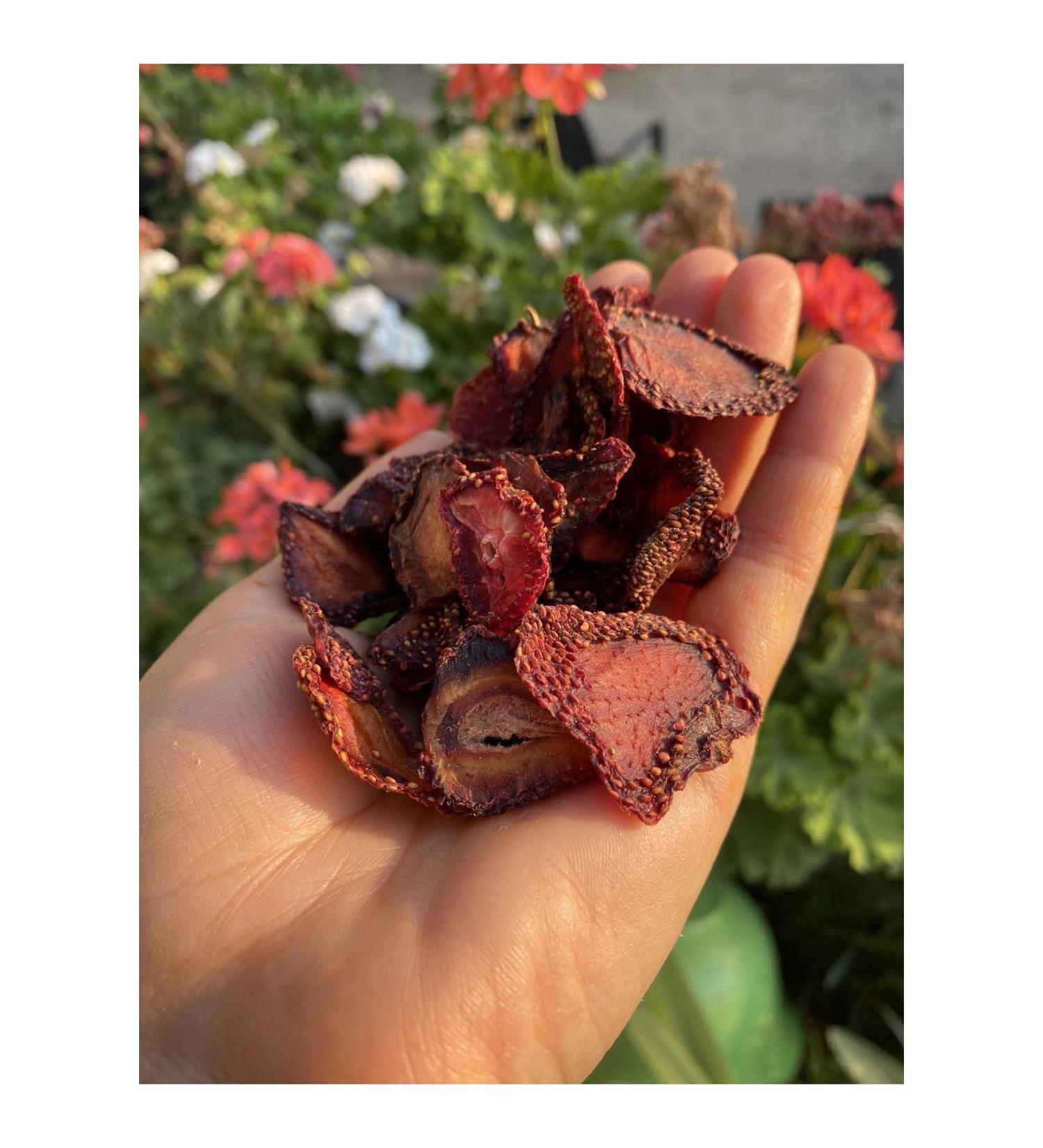 Dried Strawberries from the Aegean to the Table (200 GR)