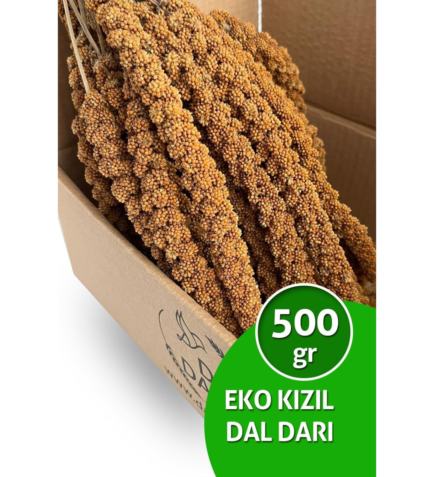 Dal Millet Net Eco Red Dal Millet 500 Gr Budgie Food Dal Millet (organic Dal Millet) - Buy Online on GoSupps.com