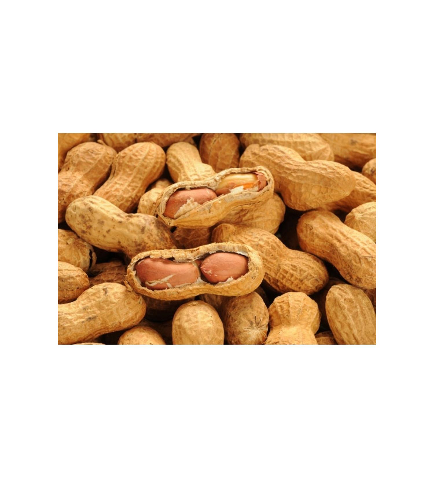 Natural FIELD RING OSMANIYE PEANUTS 3KG