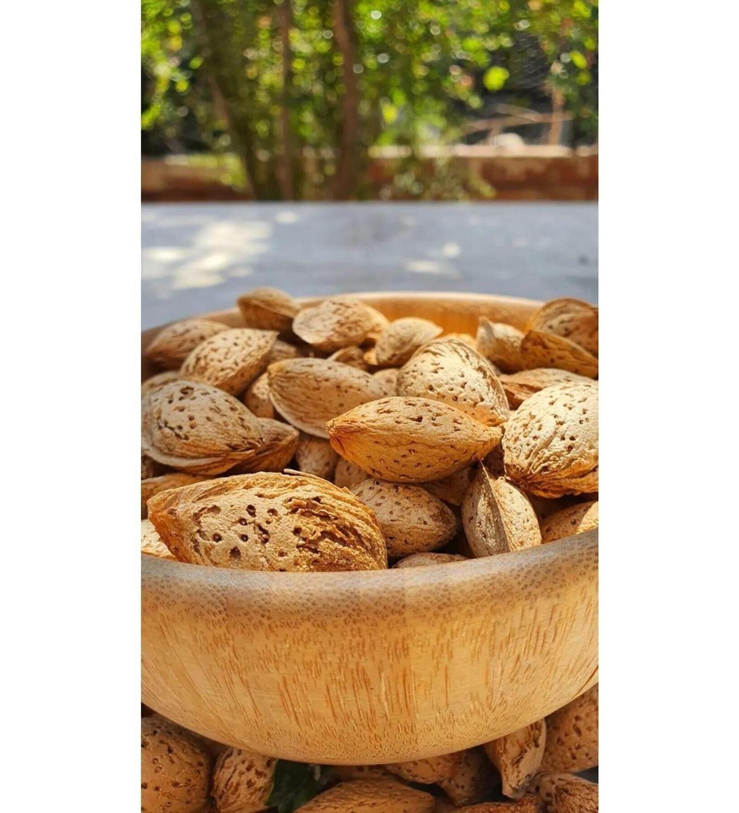 incirciamca Raw Almonds in Shell Hand-Cracked