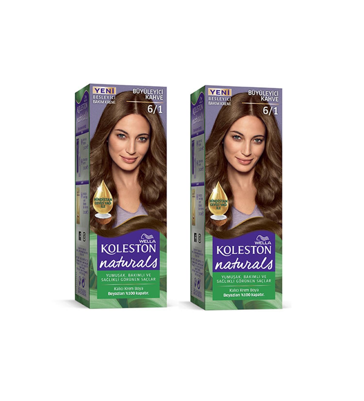 HELSOL Naturals Hair Dye Fascinating Brown 6/1 2x Pack - HLS8195-8571