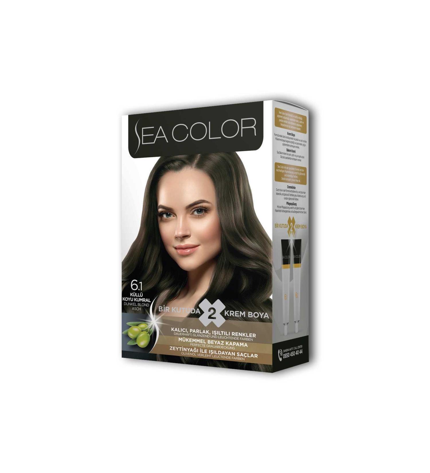 Oneol Publishing House 2 Tube Cream Hair Dye Set Ash Dark Blonde No:6.1 - 1OL7928-9598