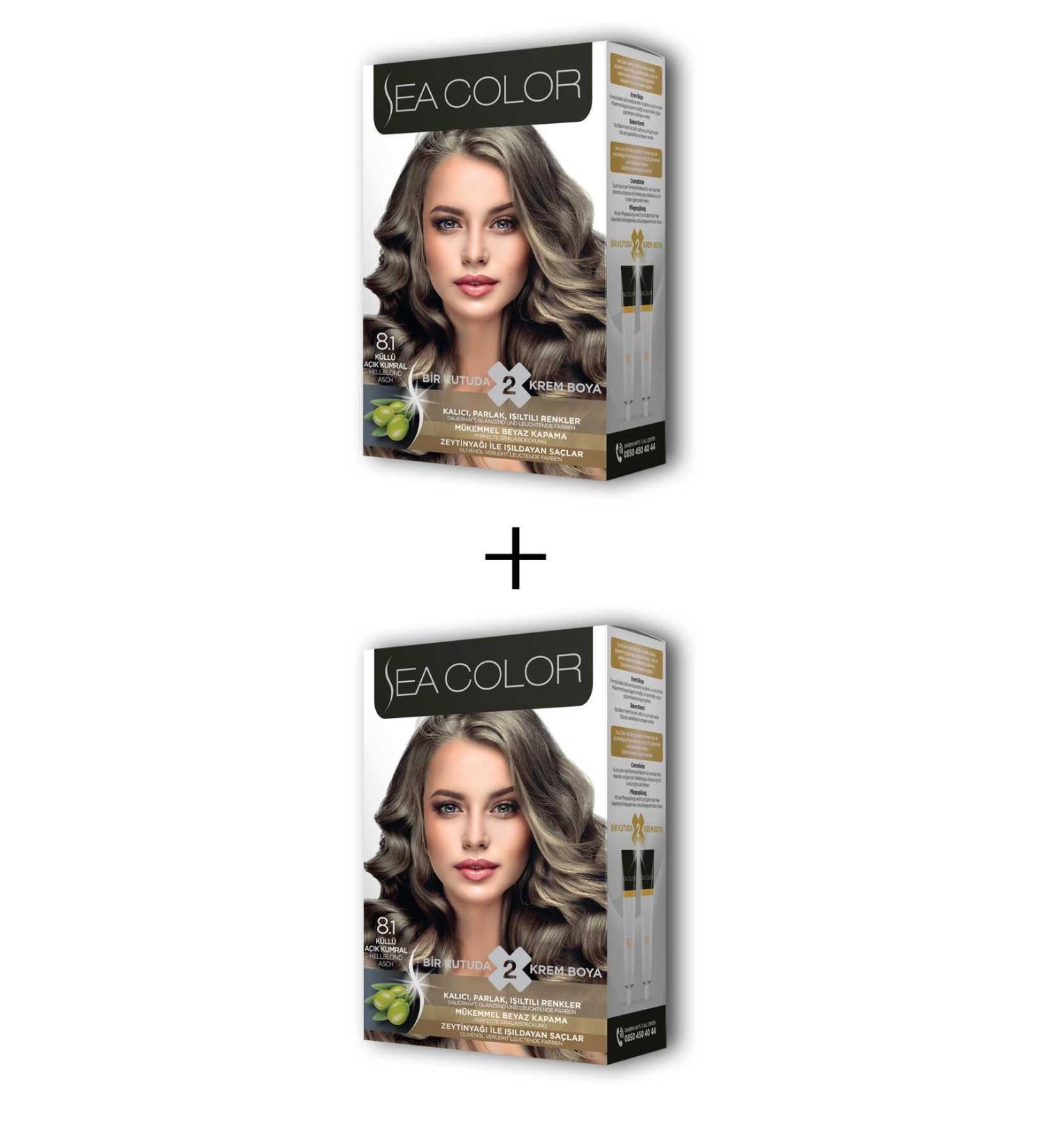 dryertime 2X2 Tube Cream Hair Dye Set Ash Light Blonde No:8.1 - DRY3353-6985