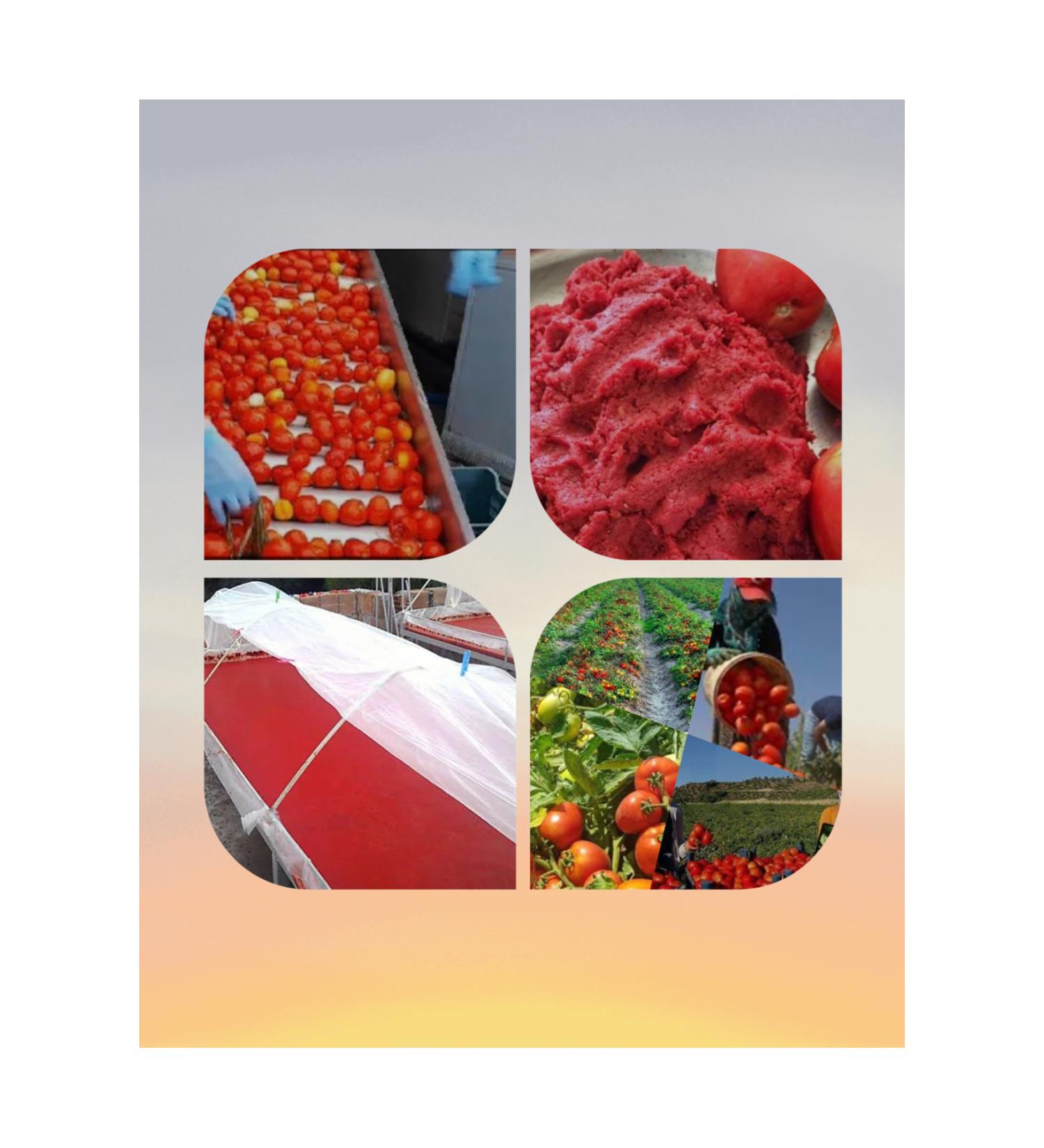 Matrix Tomato Paste (1 KG)