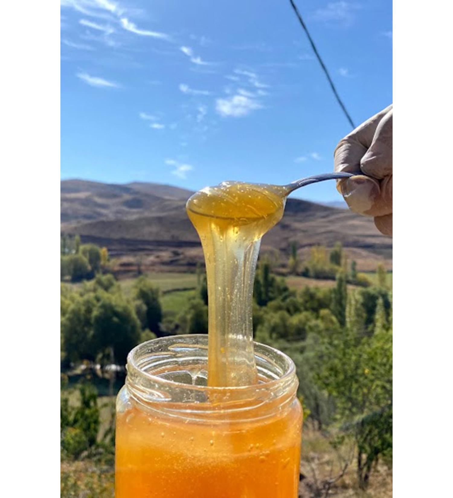 Come From The Village Pure Honey - 850 grams - Buy Online on GoSupps.com