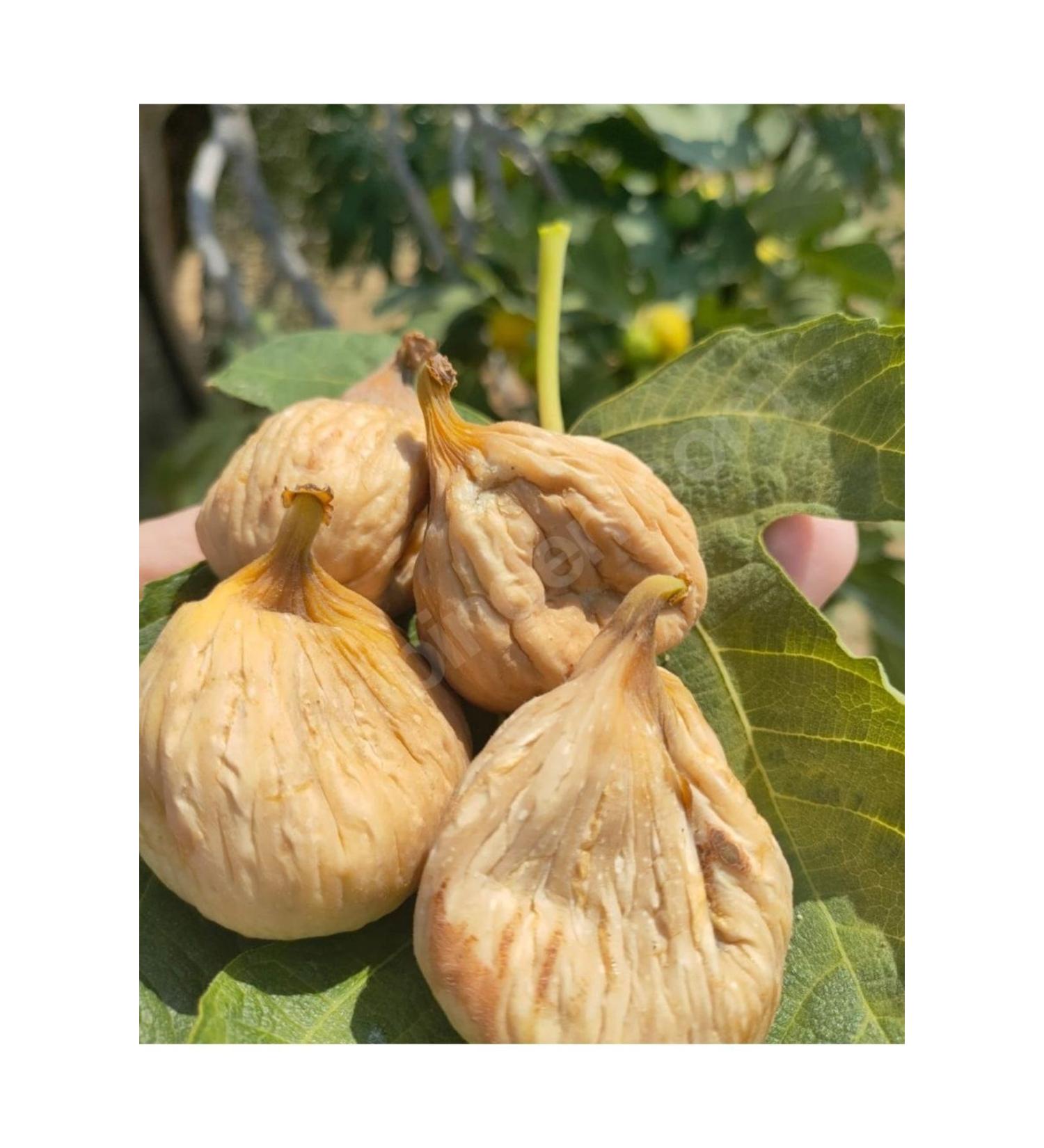 HatayBazaar New Crop Ayd n Mountain Fig - Dried Fig - 500 gr