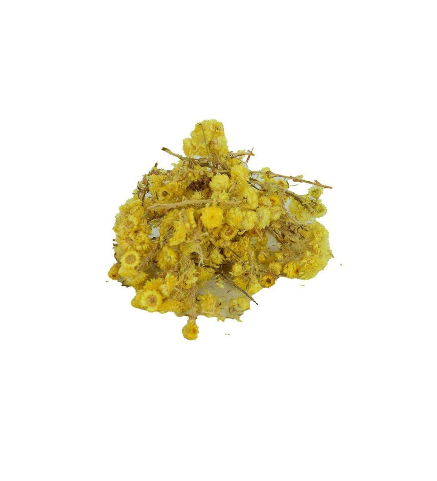 Astra Market Golden Grass Flower Immortelle Flower Natural 100 Gr Package