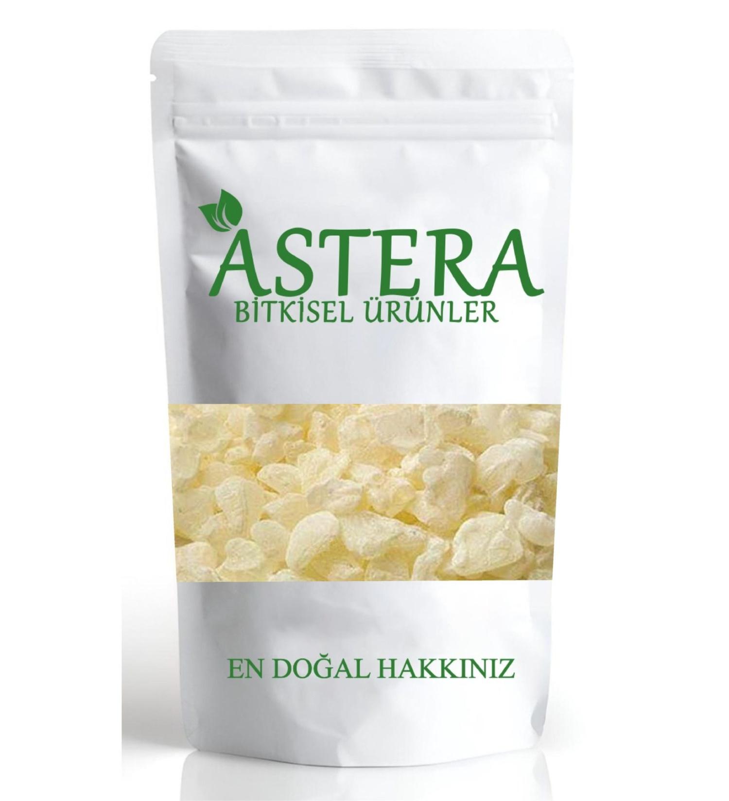 ASTERA 25 Gr Large Size Gum Mastic