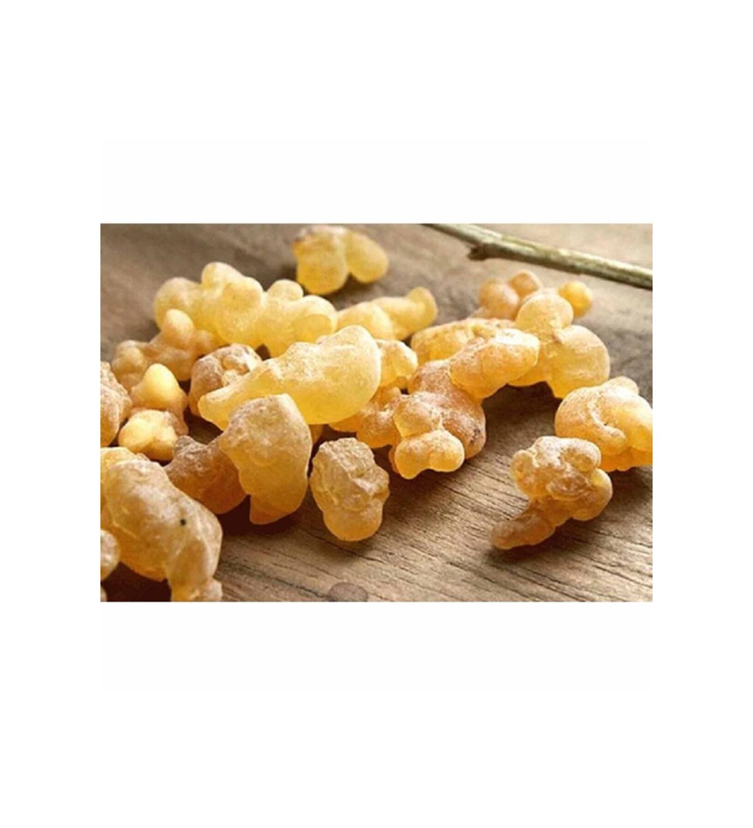 Aktarlife 1000 Gr Daily Chewing Gum